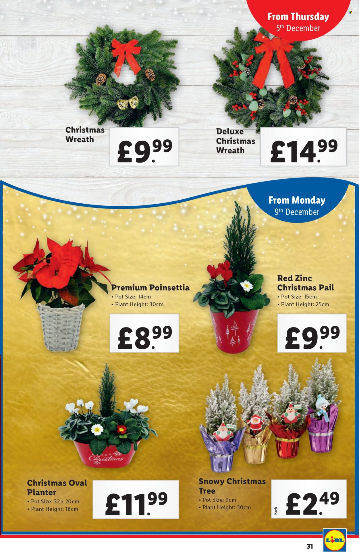 Lidl offer - 05/12/2024 - 11/12/2024. Page 31
