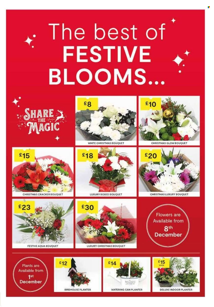 SuperValu offer - 08/12/2024 - 04/01/2025. Page 13