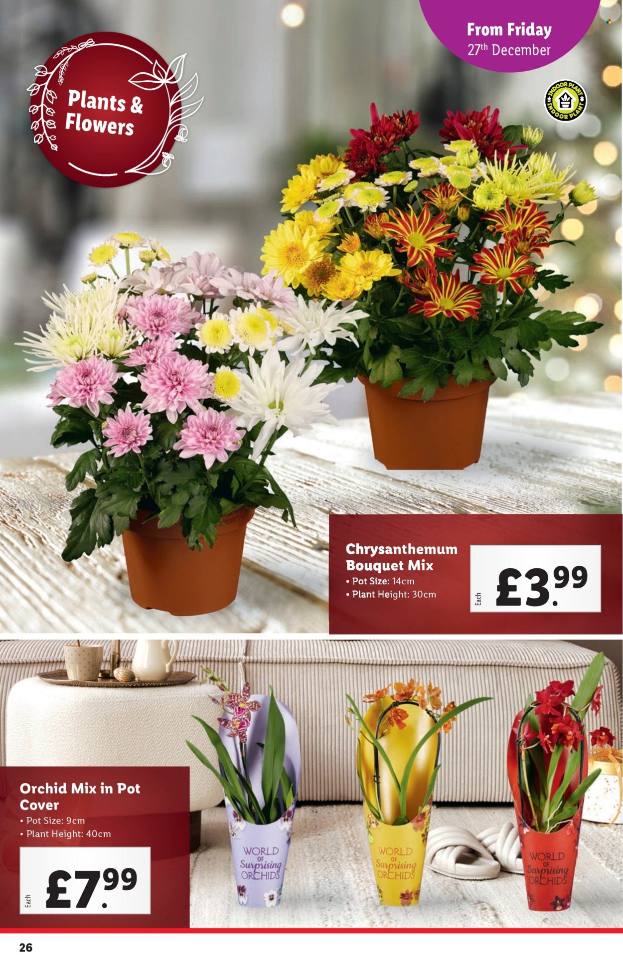 Lidl offer - 27/12/2024 - 31/12/2024. Page 26