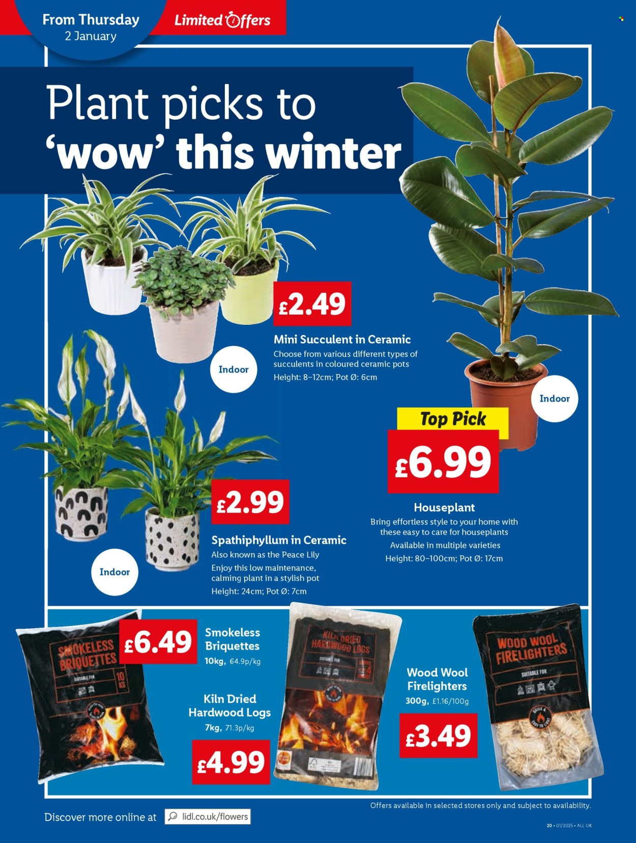 Lidl offer - 02/01/2025 - 08/01/2025. Page 22