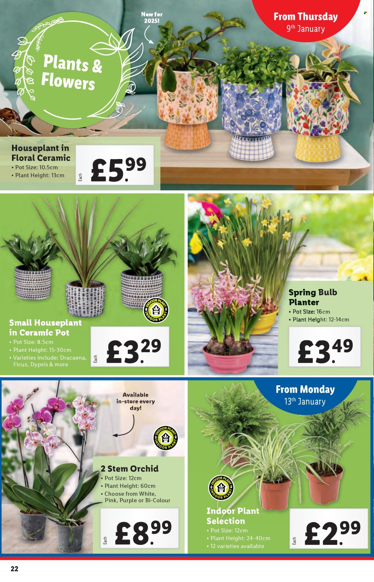 Lidl offer - 09/01/2025 - 15/01/2025. Page 22