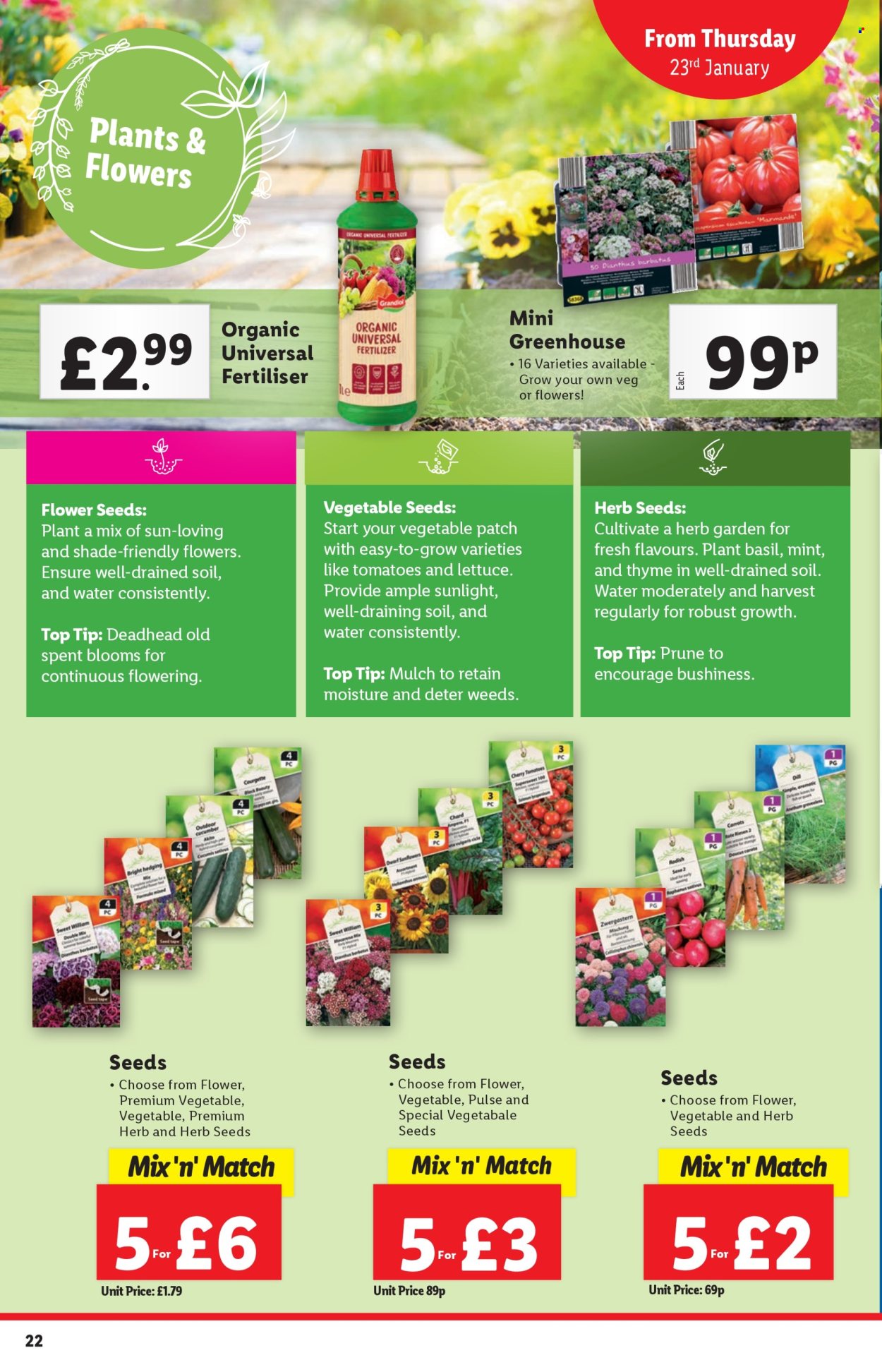 Lidl offer - 23/01/2025 - 29/01/2025. Page 22