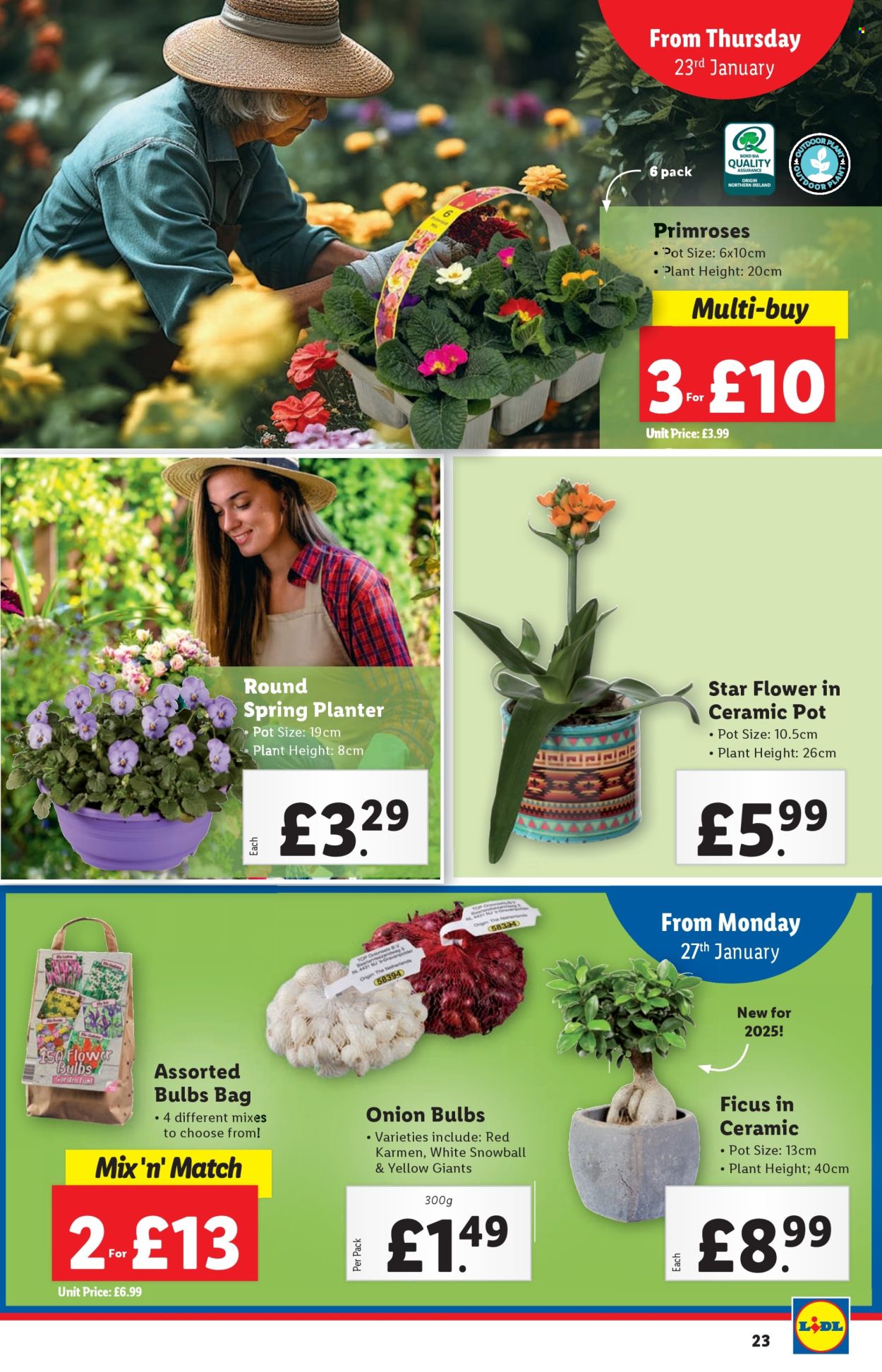 Lidl offer - 23/01/2025 - 29/01/2025. Page 23