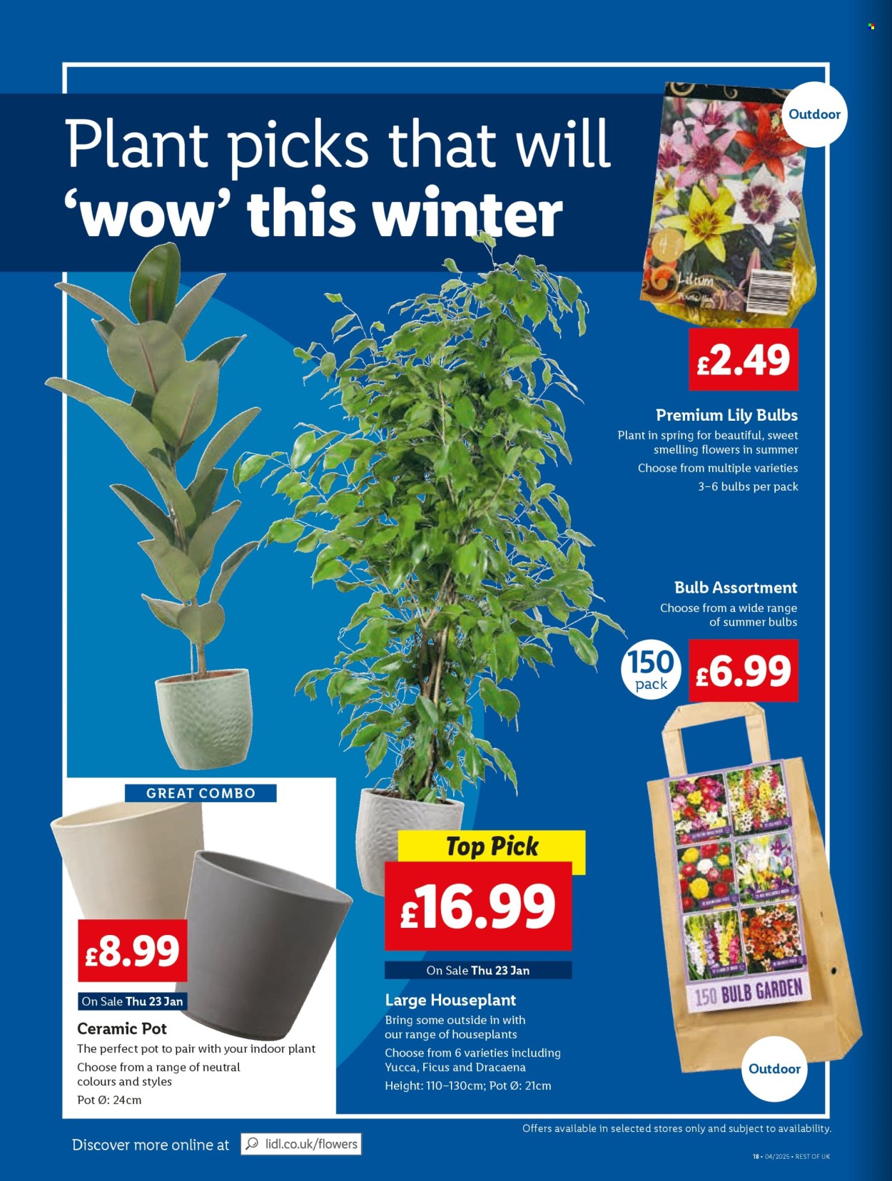 Lidl offer - 23/01/2025 - 29/01/2025. Page 22
