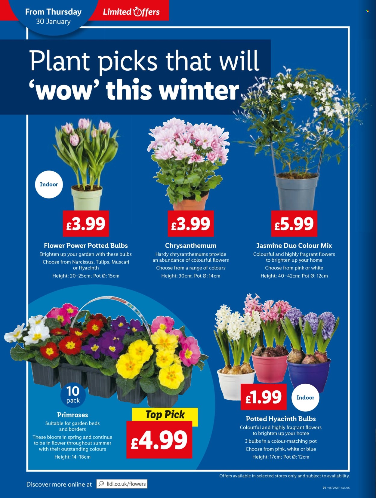 Lidl offer - 30/01/2025 - 05/02/2025. Page 20