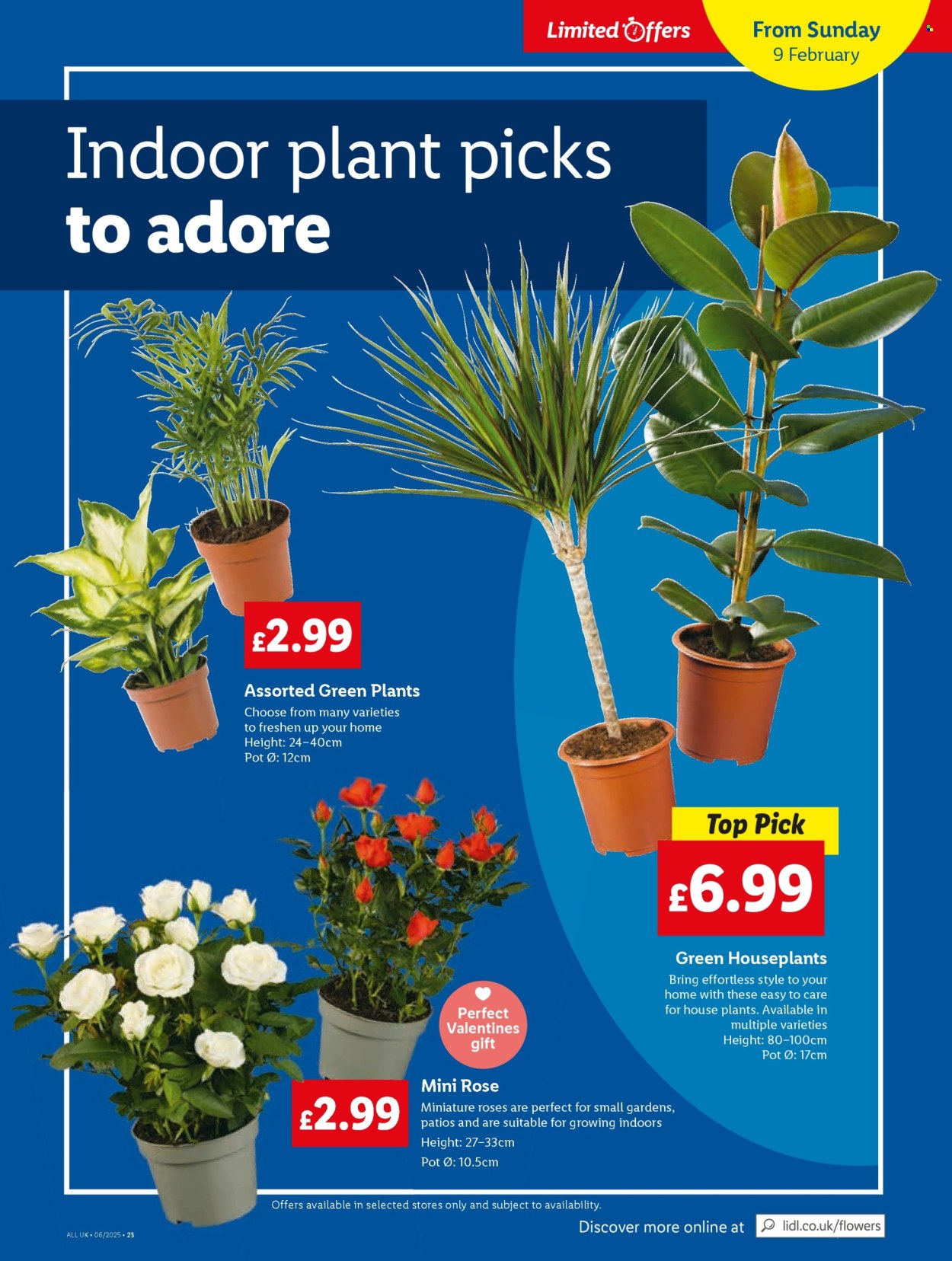 Lidl offer - 06/02/2025 - 12/02/2025. Page 25