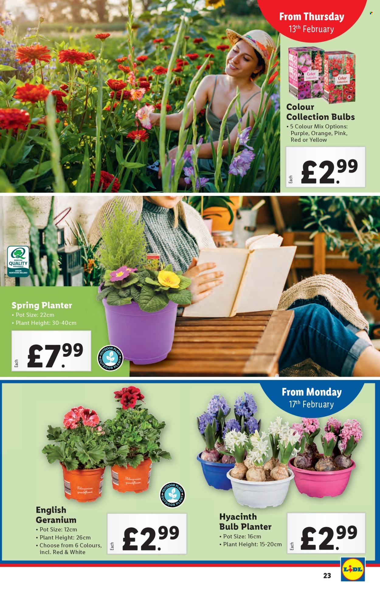 Lidl offer - 13/02/2025 - 19/02/2025. Page 23