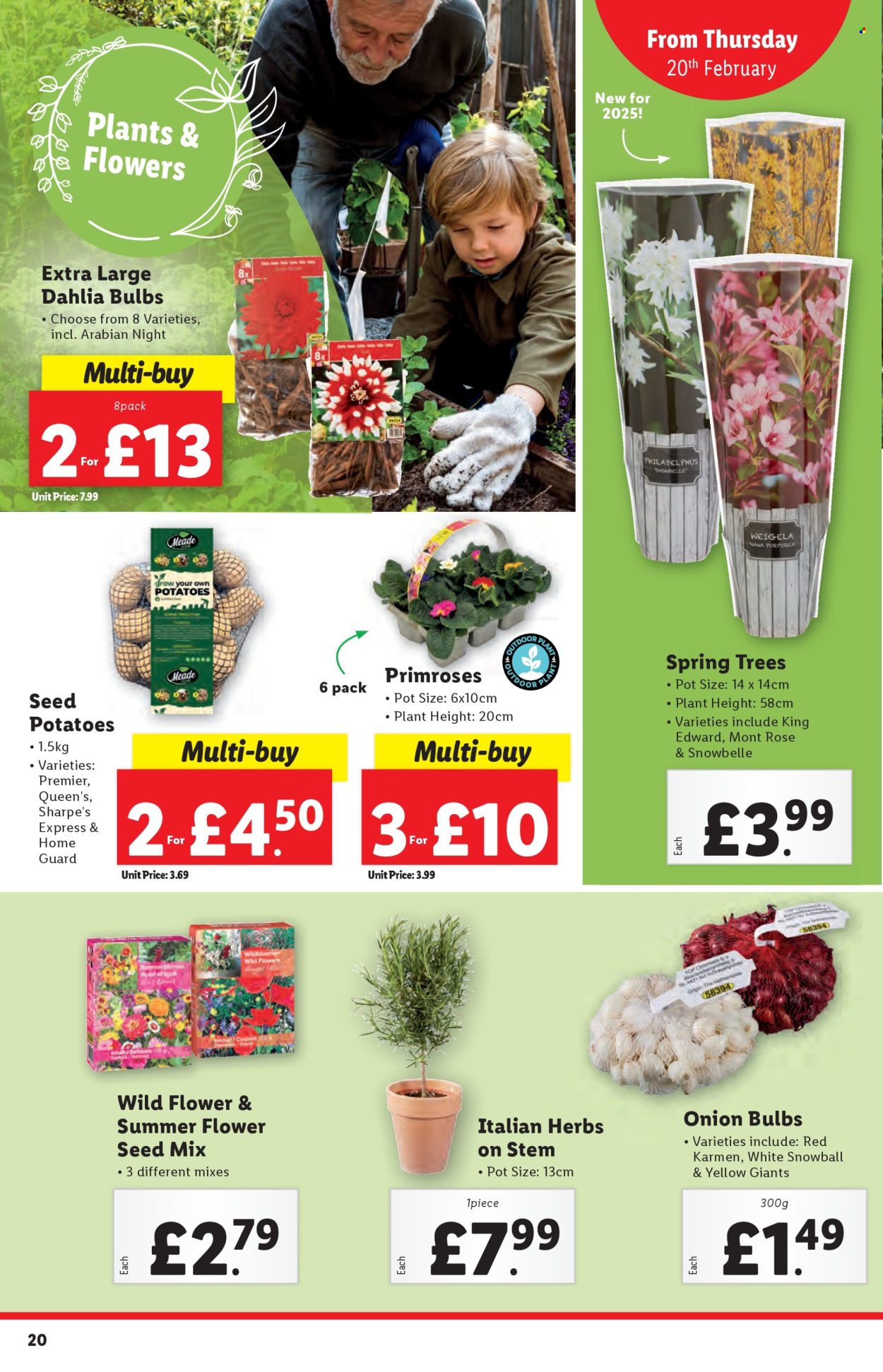 Lidl offer - 20/02/2025 - 26/02/2025. Page 20