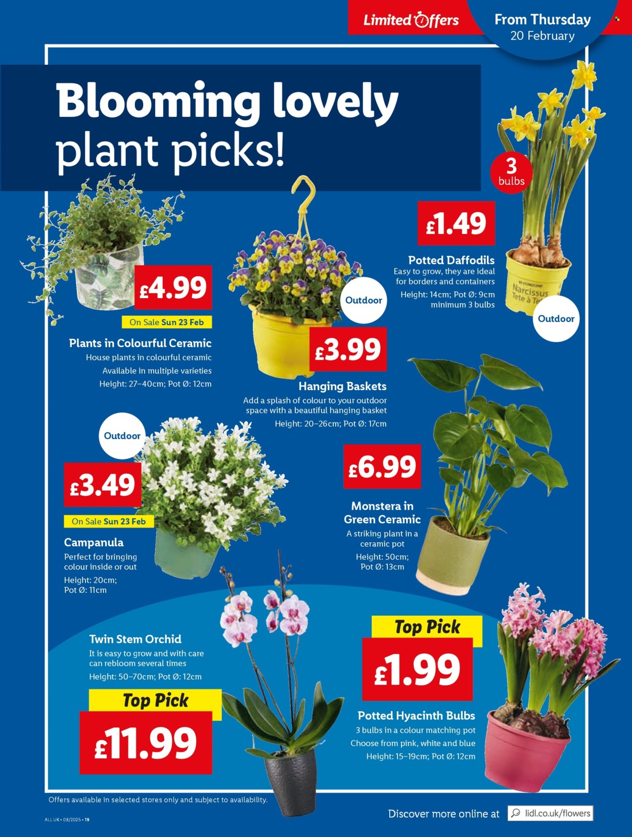 Lidl offer - 20/02/2025 - 26/02/2025. Page 23