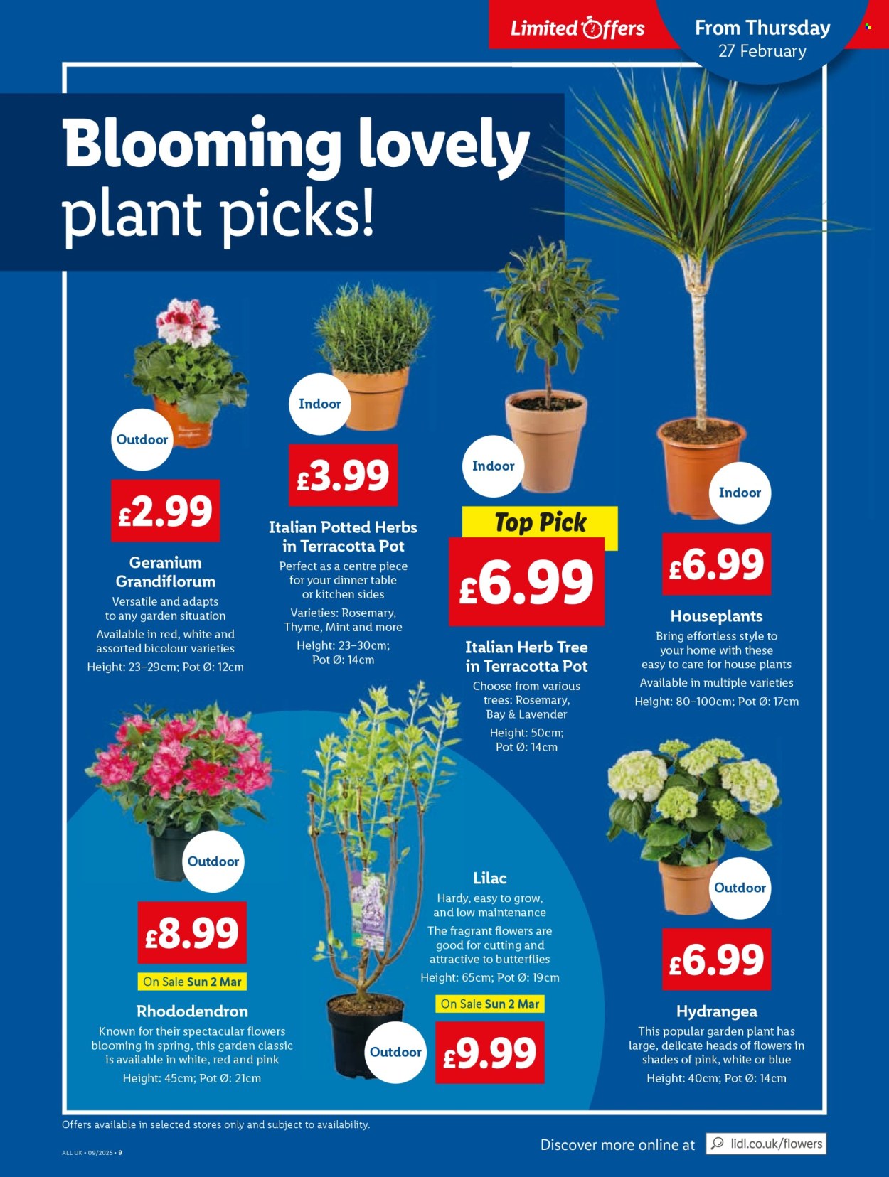 Lidl offer - 27/02/2025 - 05/03/2025. Page 11