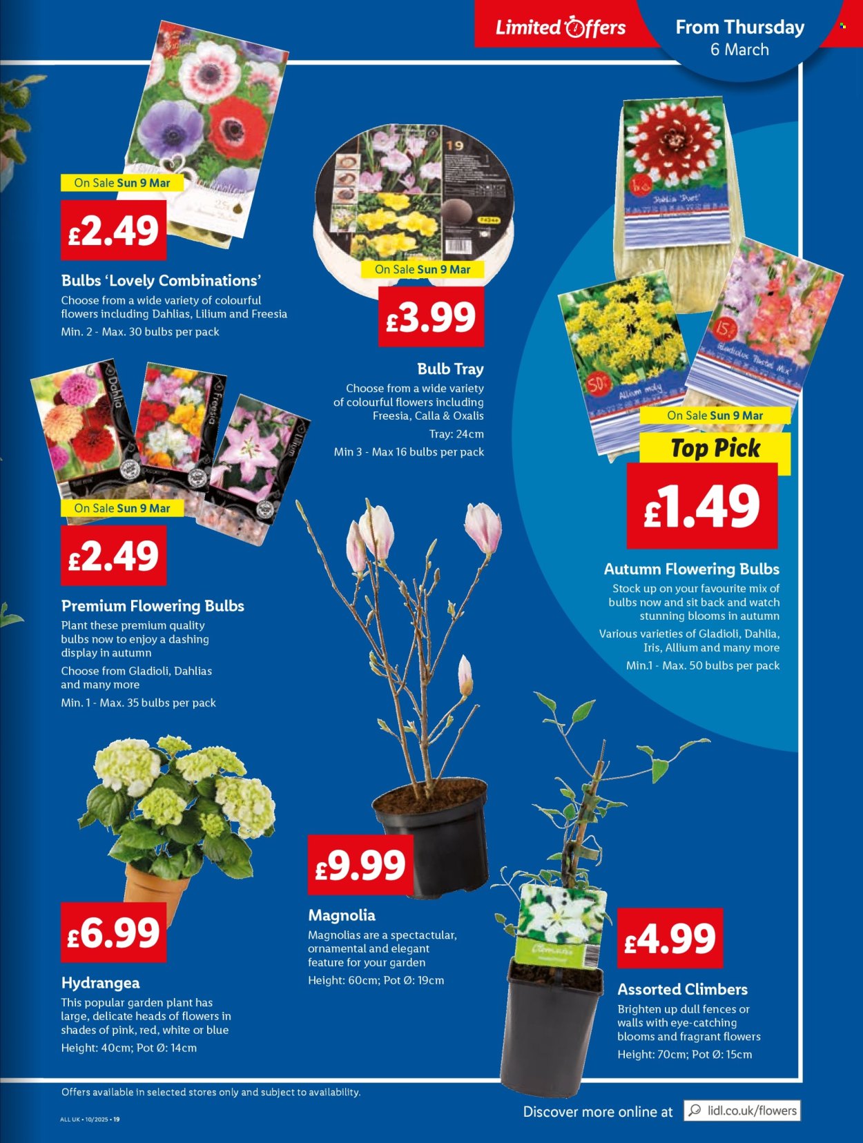 Lidl offer - 06/03/2025 - 12/03/2025. Page 19
