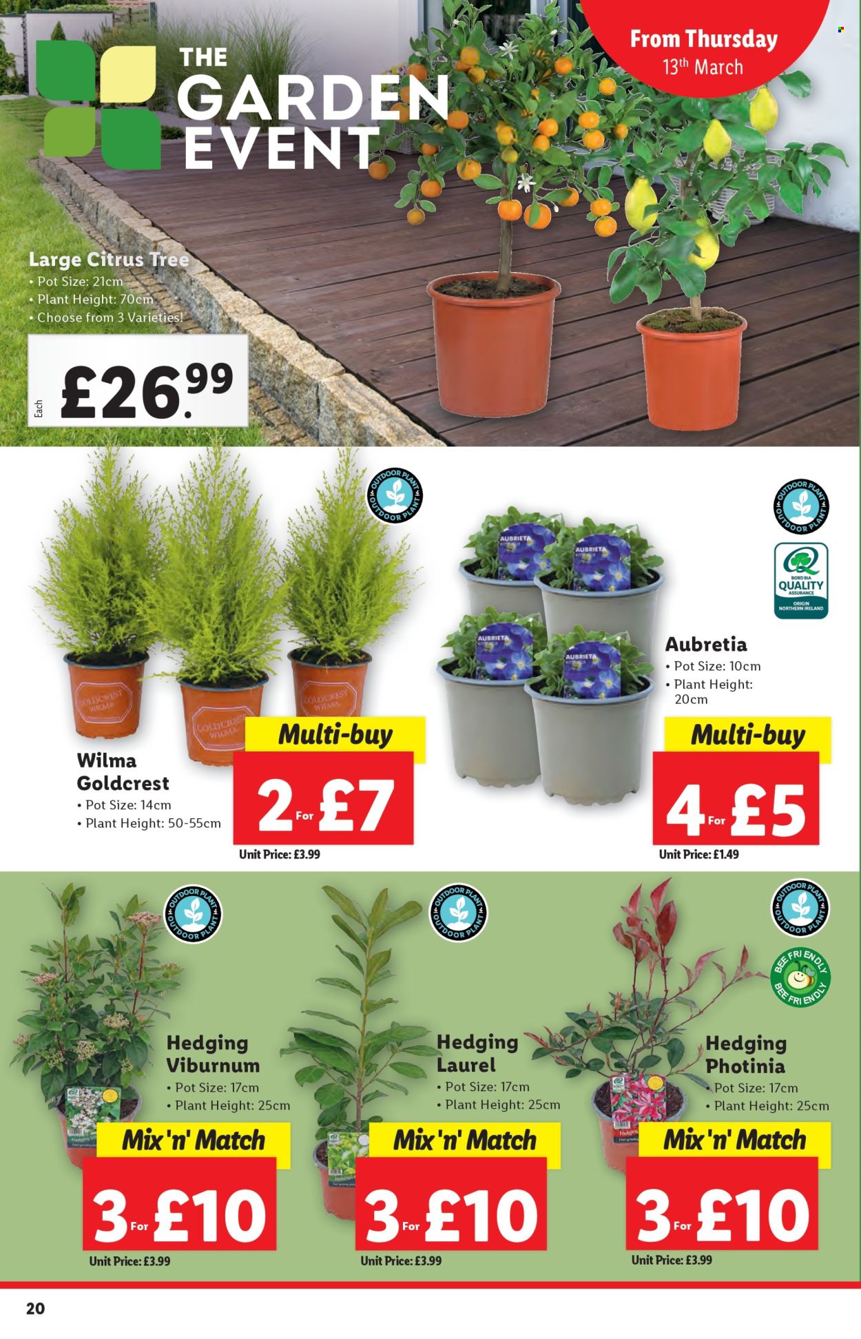 Lidl offer - 13/03/2025 - 19/03/2025. Page 20