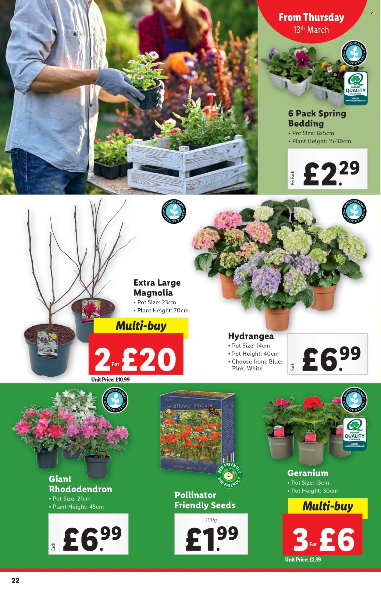 Lidl offer - 13/03/2025 - 19/03/2025. Page 22