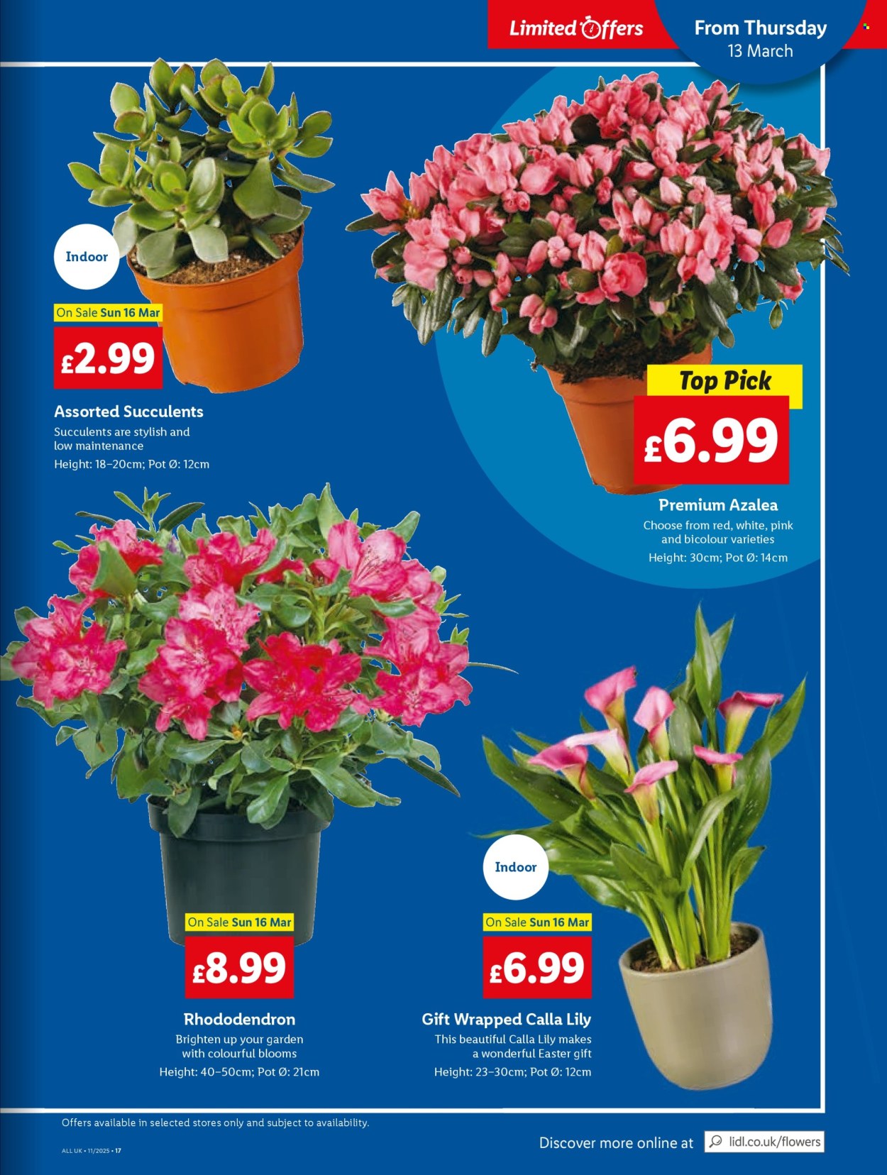 Lidl offer - 13/03/2025 - 19/03/2025. Page 21