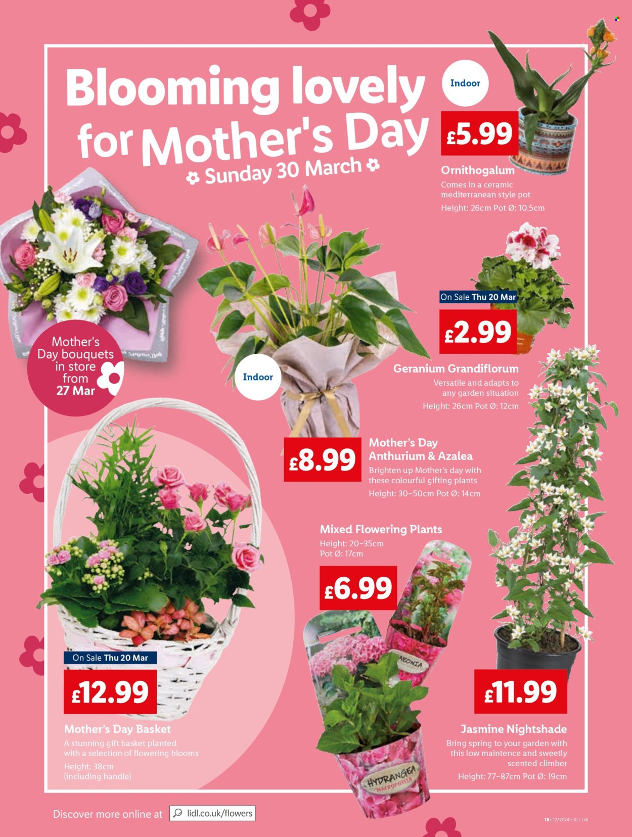 Lidl offer - 20/03/2025 - 26/03/2025. Page 20