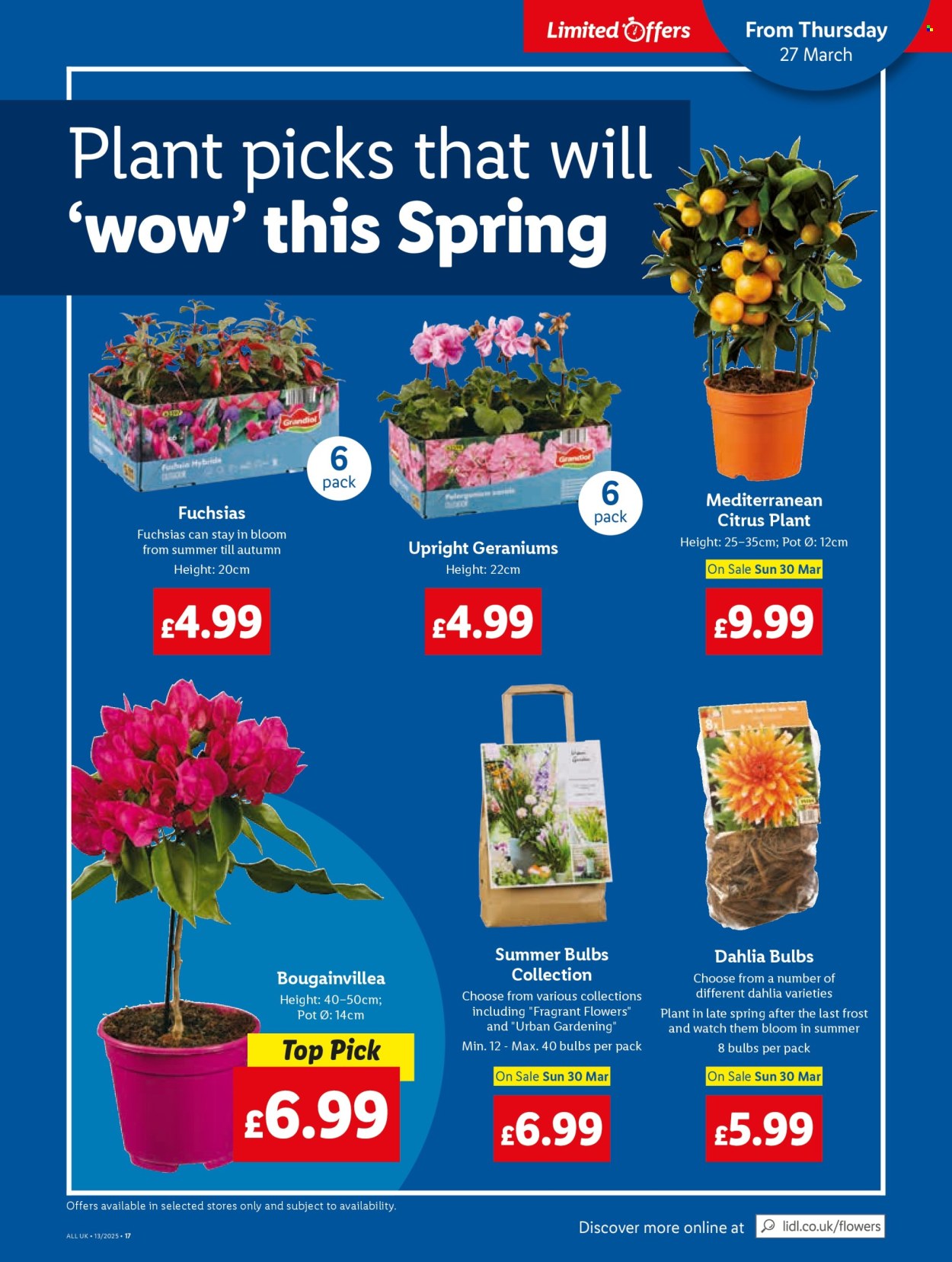 Lidl offer - 27/03/2025 - 02/04/2025. Page 19