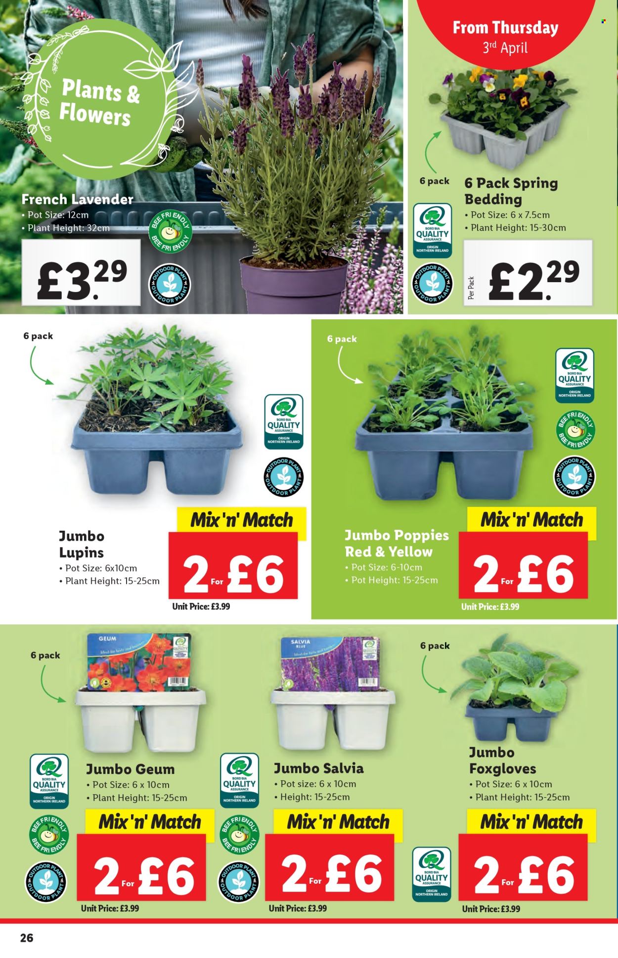 Lidl offer - 03/04/2025 - 09/04/2025. Page 26
