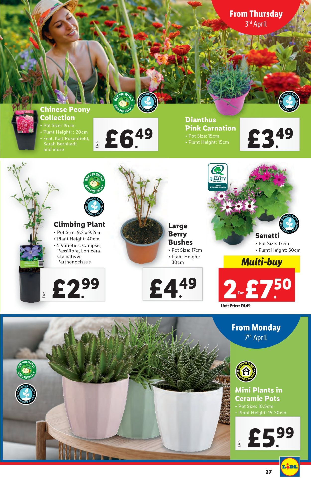 Lidl offer - 03/04/2025 - 09/04/2025. Page 27