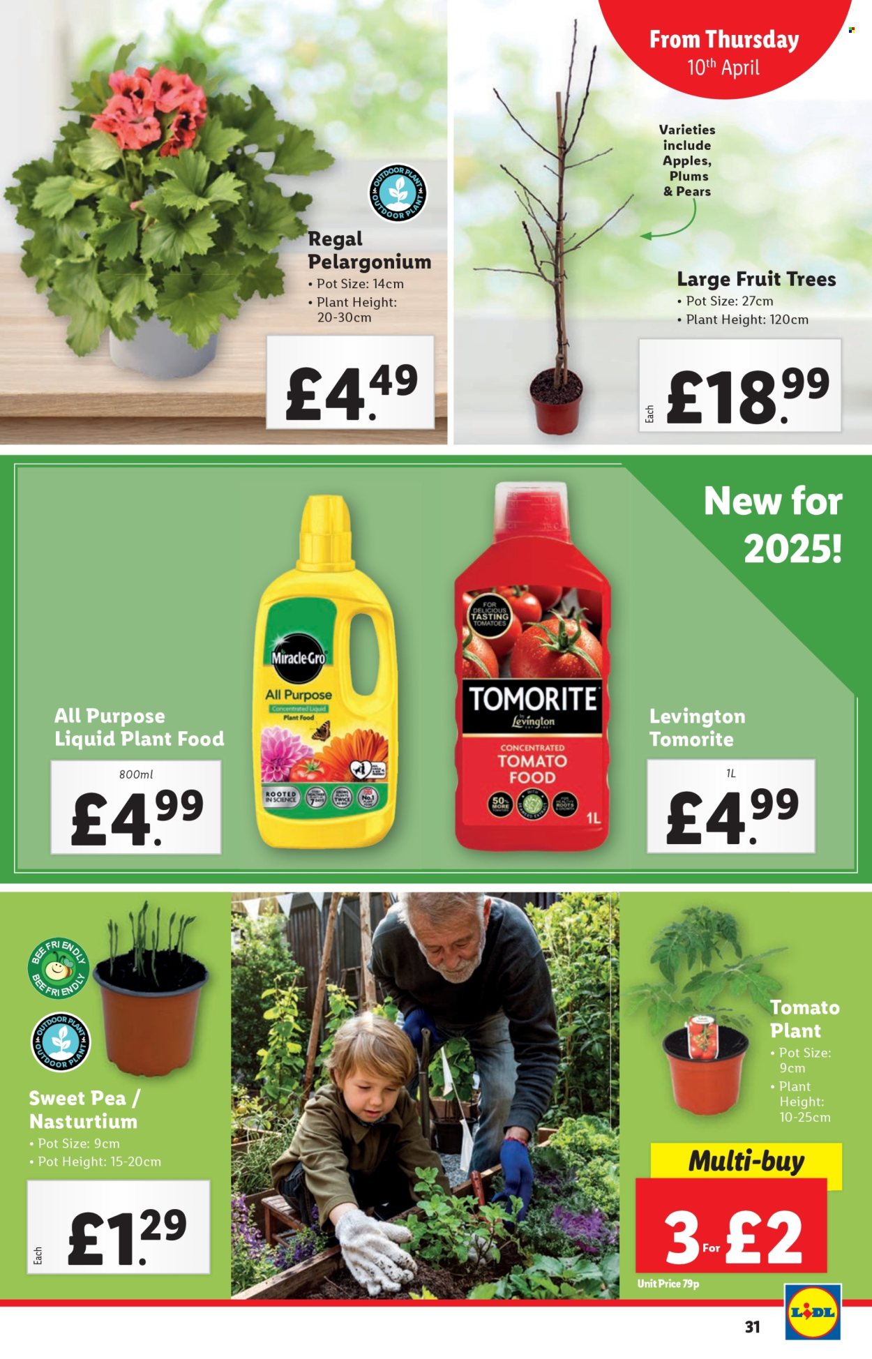 Lidl offer - 10/04/2025 - 16/04/2025. Page 31