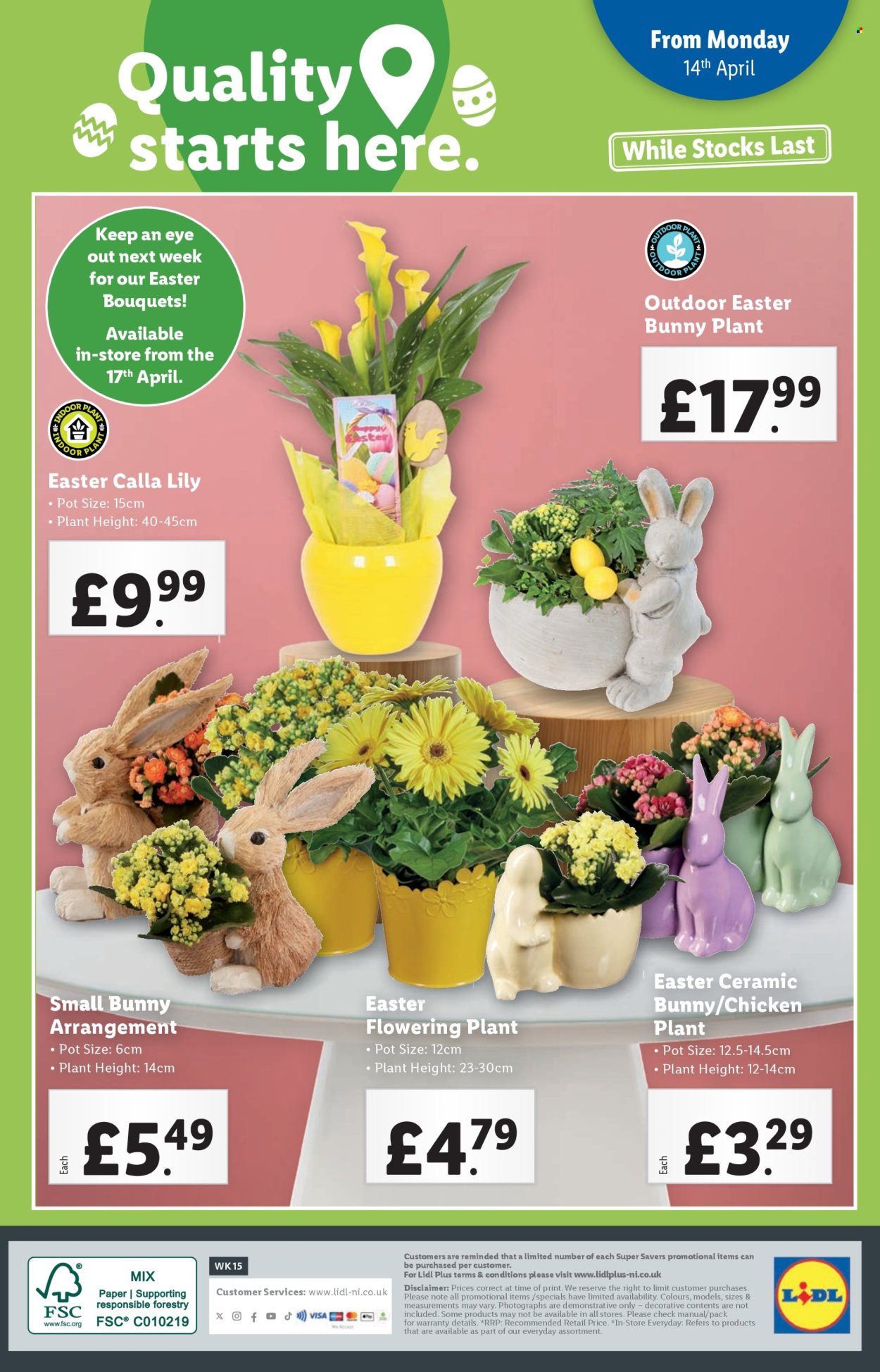 Lidl offer - 10/04/2025 - 16/04/2025. Page 36