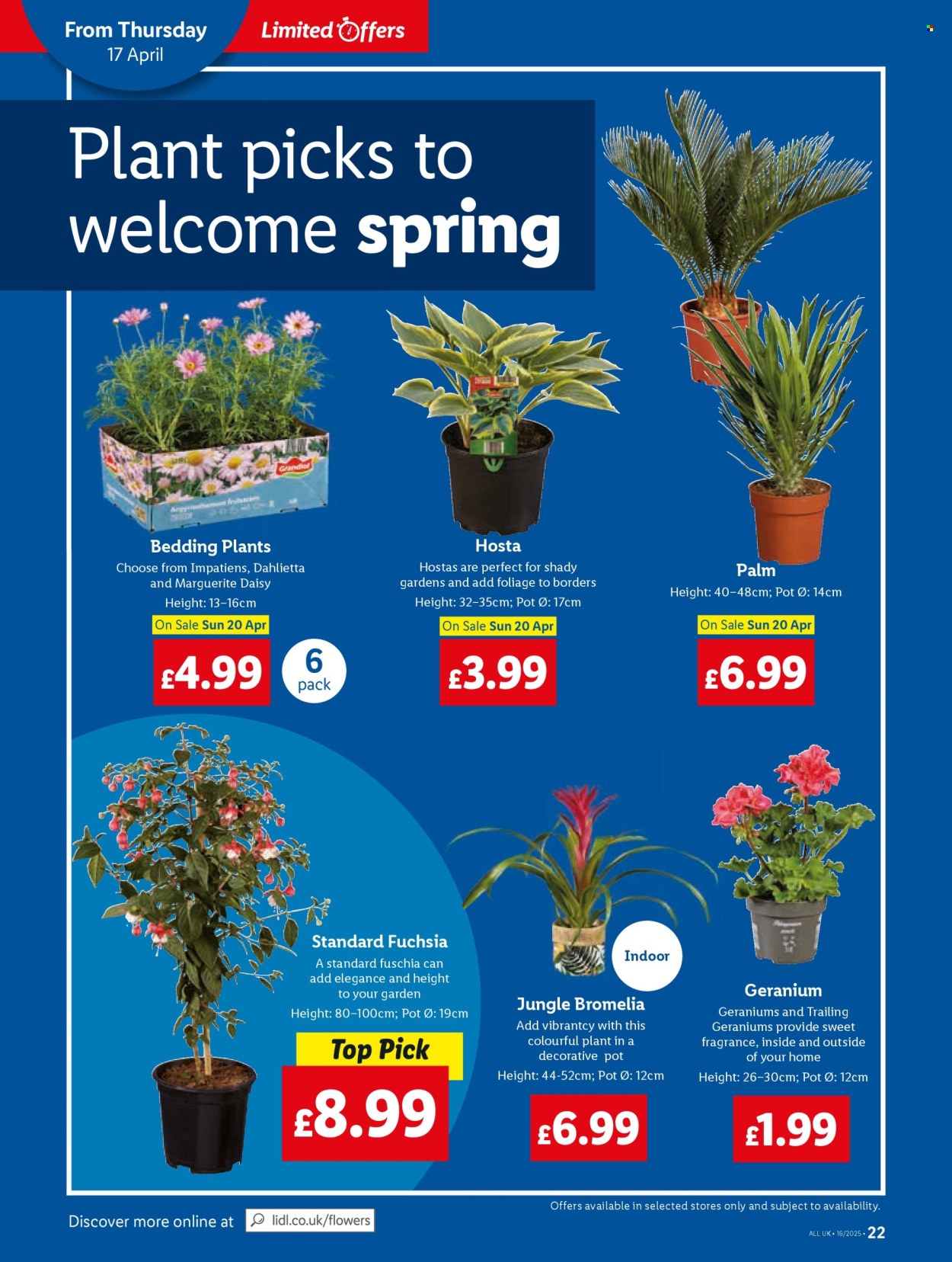 Lidl offer - 17/04/2025 - 23/04/2025. Page 22