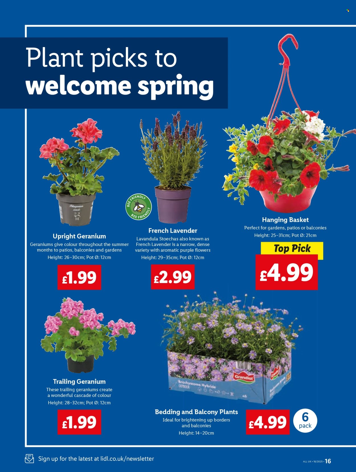Lidl offer - 01/05/2025 - 07/05/2025. Page 18