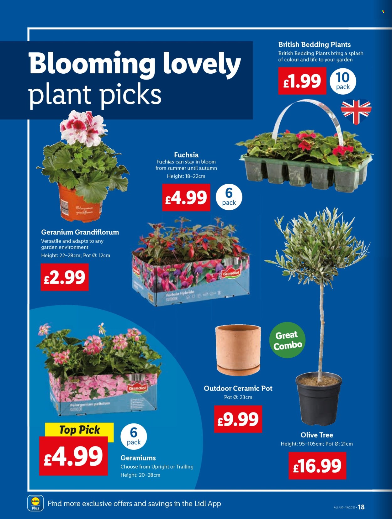 Lidl offer - 08/05/2025 - 14/05/2025. Page 18