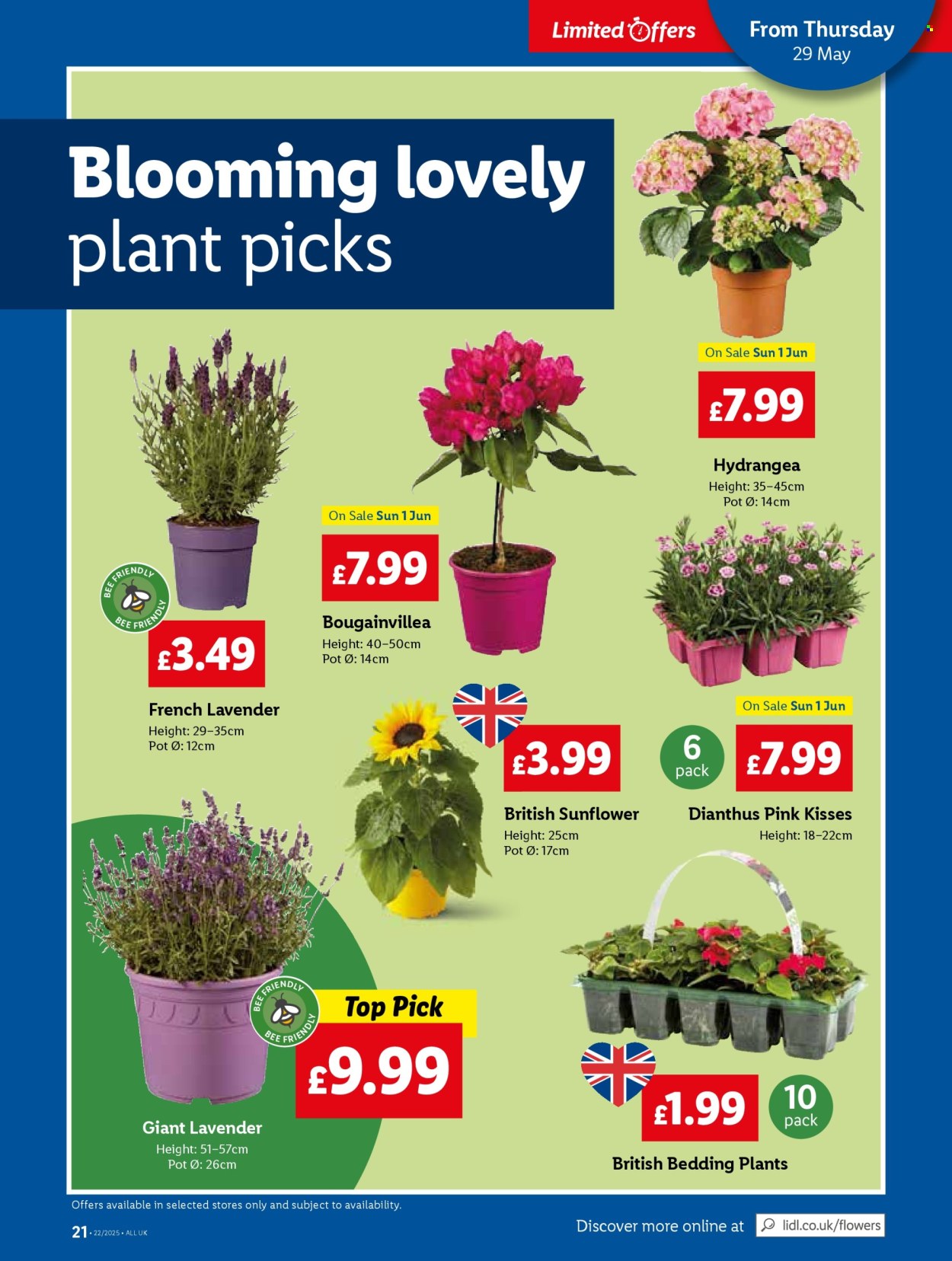 Lidl offer - 29/05/2025 - 04/06/2025. Page 23