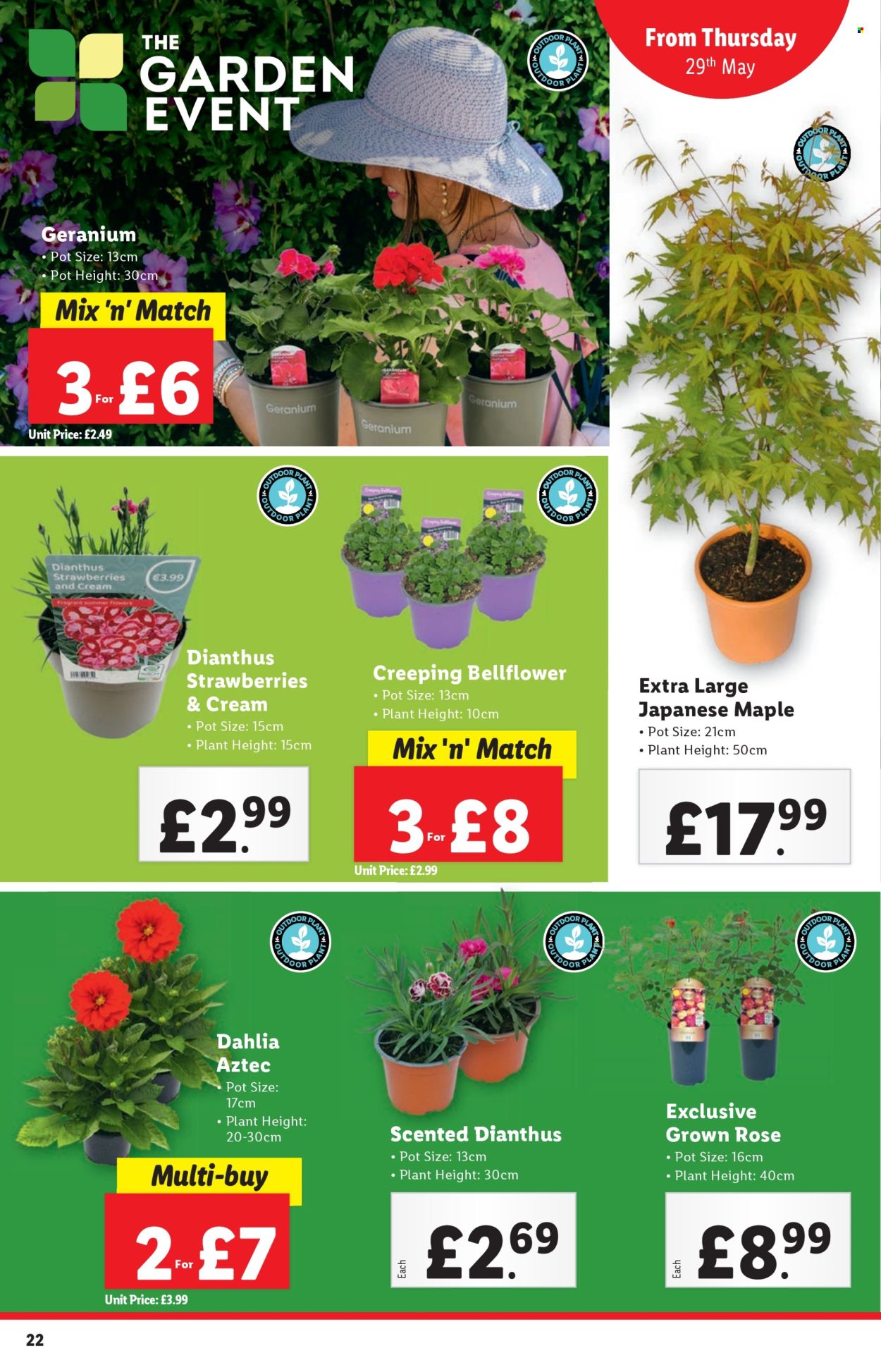 Lidl offer - 29/05/2025 - 04/06/2025. Page 22