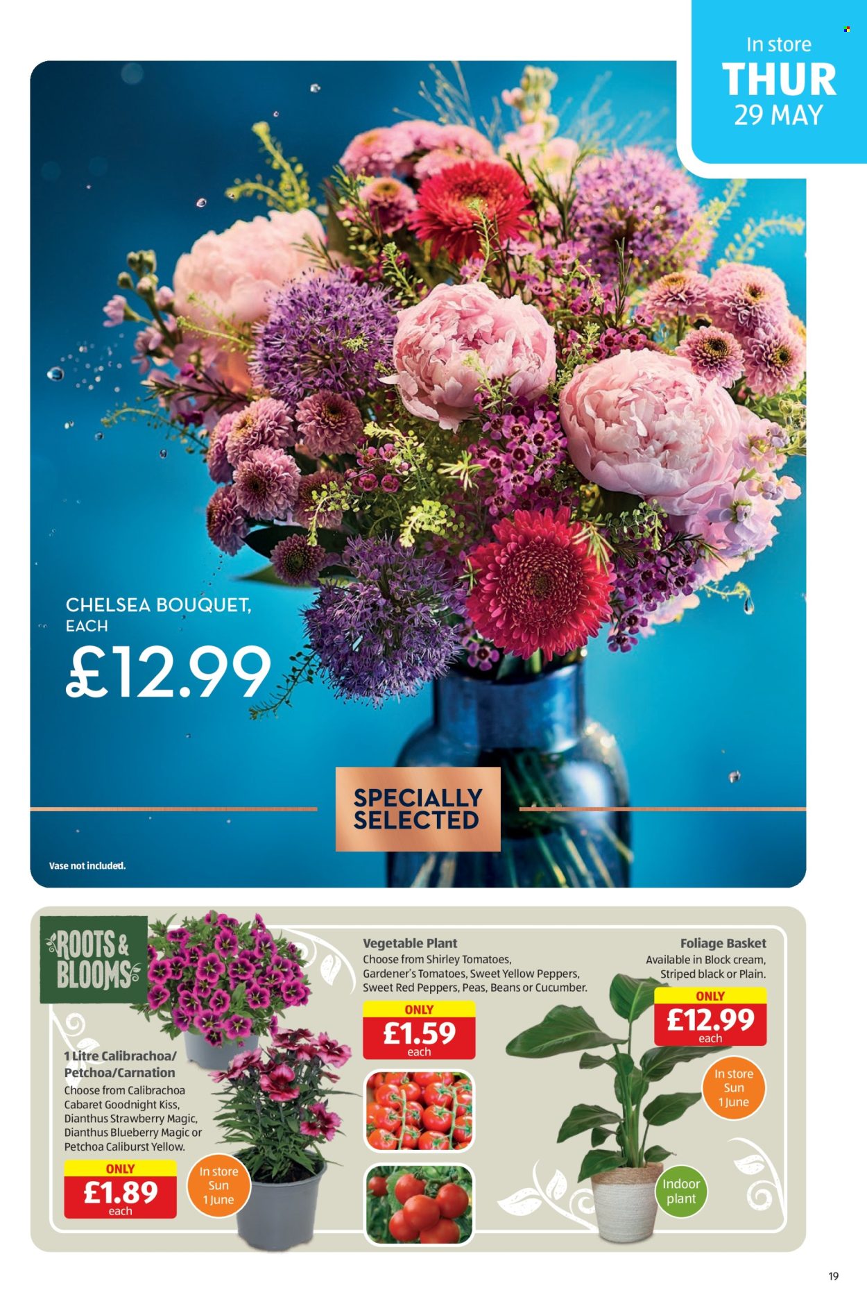 Aldi offer - 29/05/2025 - 01/06/2025. Page 19