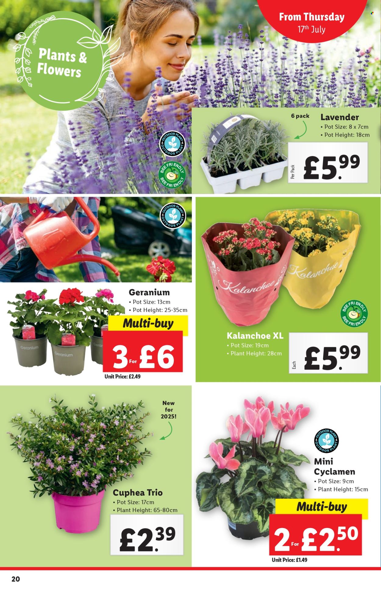 Lidl offer - 17/07/2025 - 23/07/2025. Page 20
