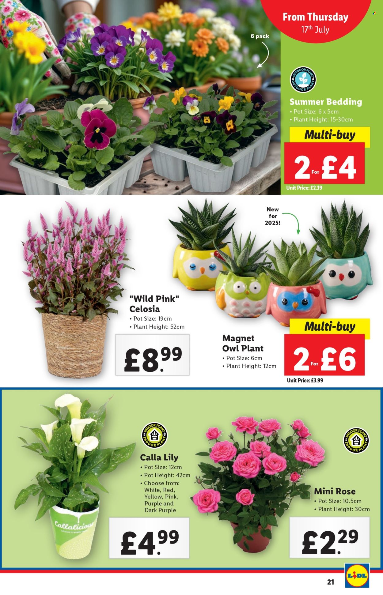 Lidl offer - 17/07/2025 - 23/07/2025. Page 21