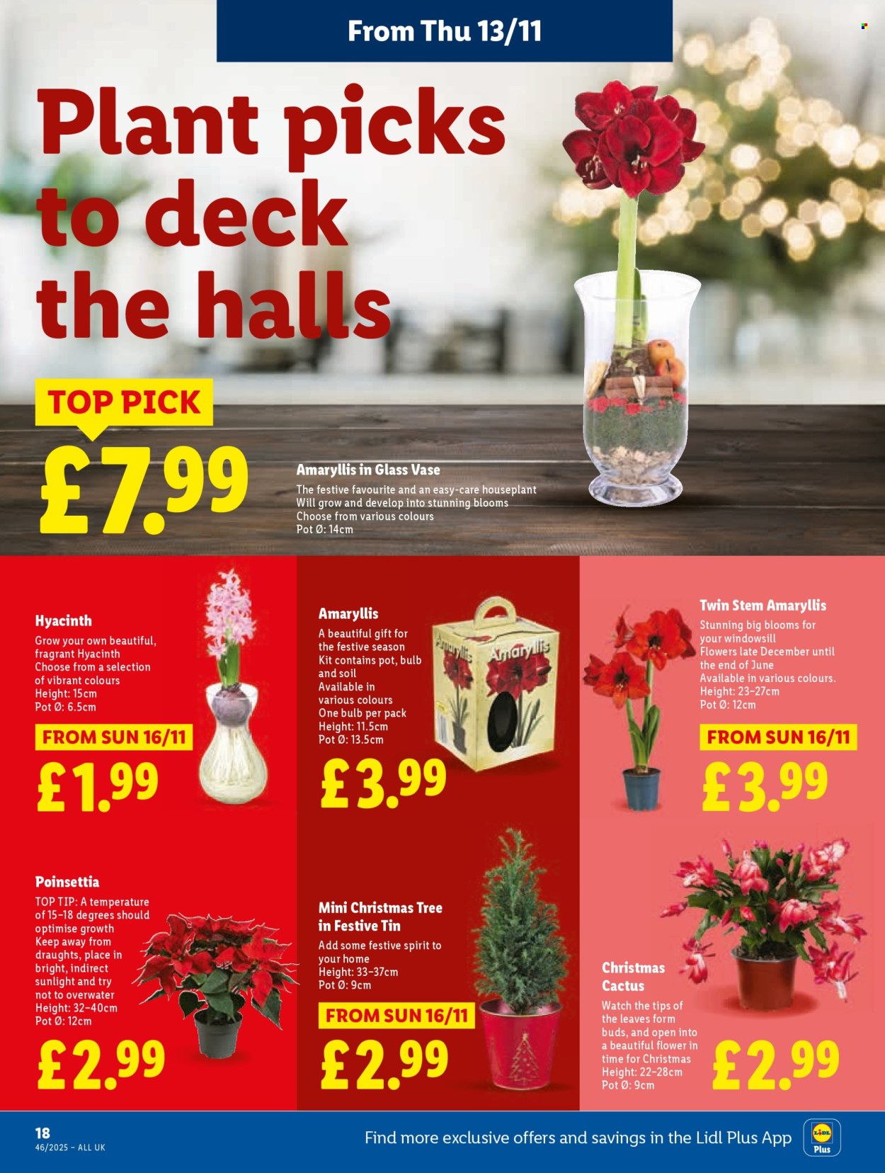 Lidl offer - 13/11/2025 - 19/11/2025. Page 18