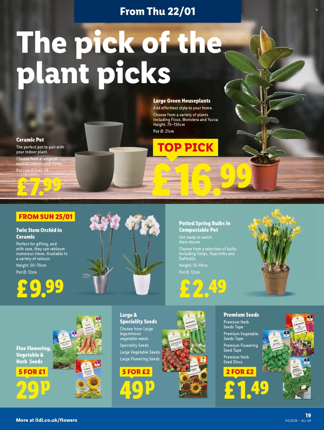 Lidl offer - 22/01/2026 - 28/01/2026. Page 21