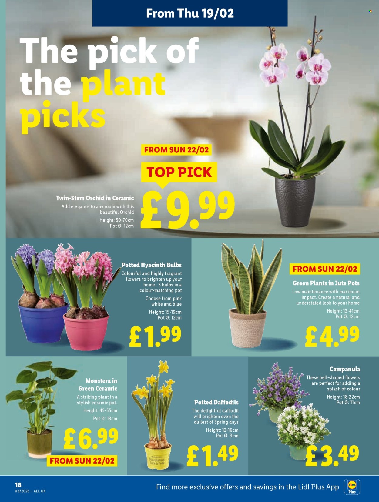 Lidl offer - 19/02/2026 - 25/02/2026. Page 20