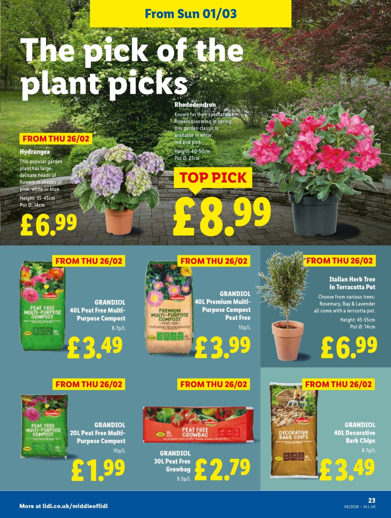 Lidl offer - 26/02/2026 - 04/03/2026. Page 25