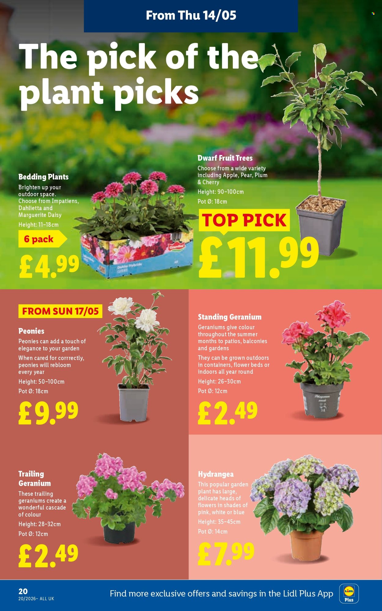 Lidl offer - 14/05/2026 - 20/05/2026. Page 22