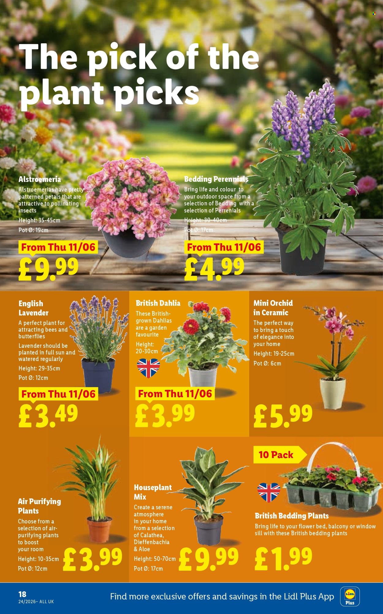 Lidl offer - 11/06/2026 - 17/06/2026. Page 20