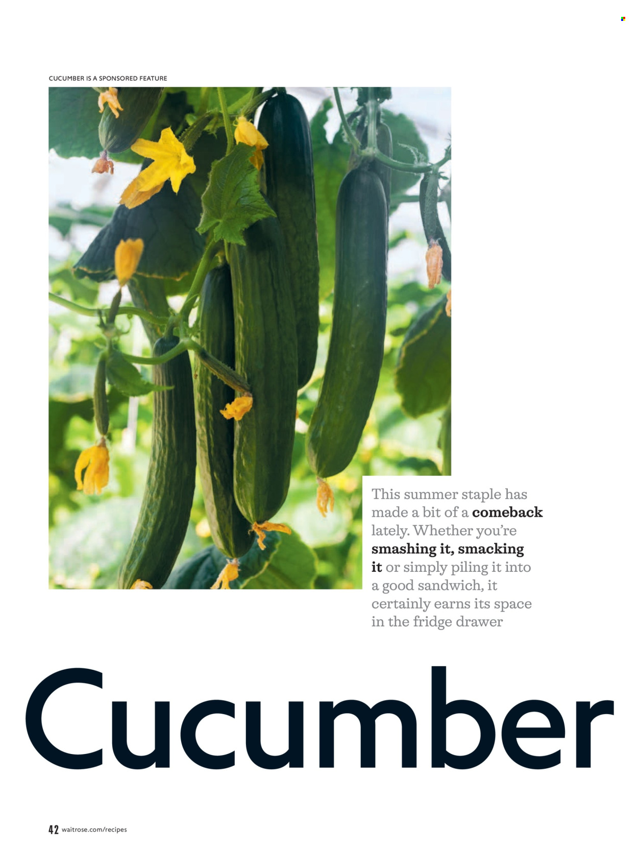 Waitrose offer - 01/07/2026 - 31/08/2026. Page 42