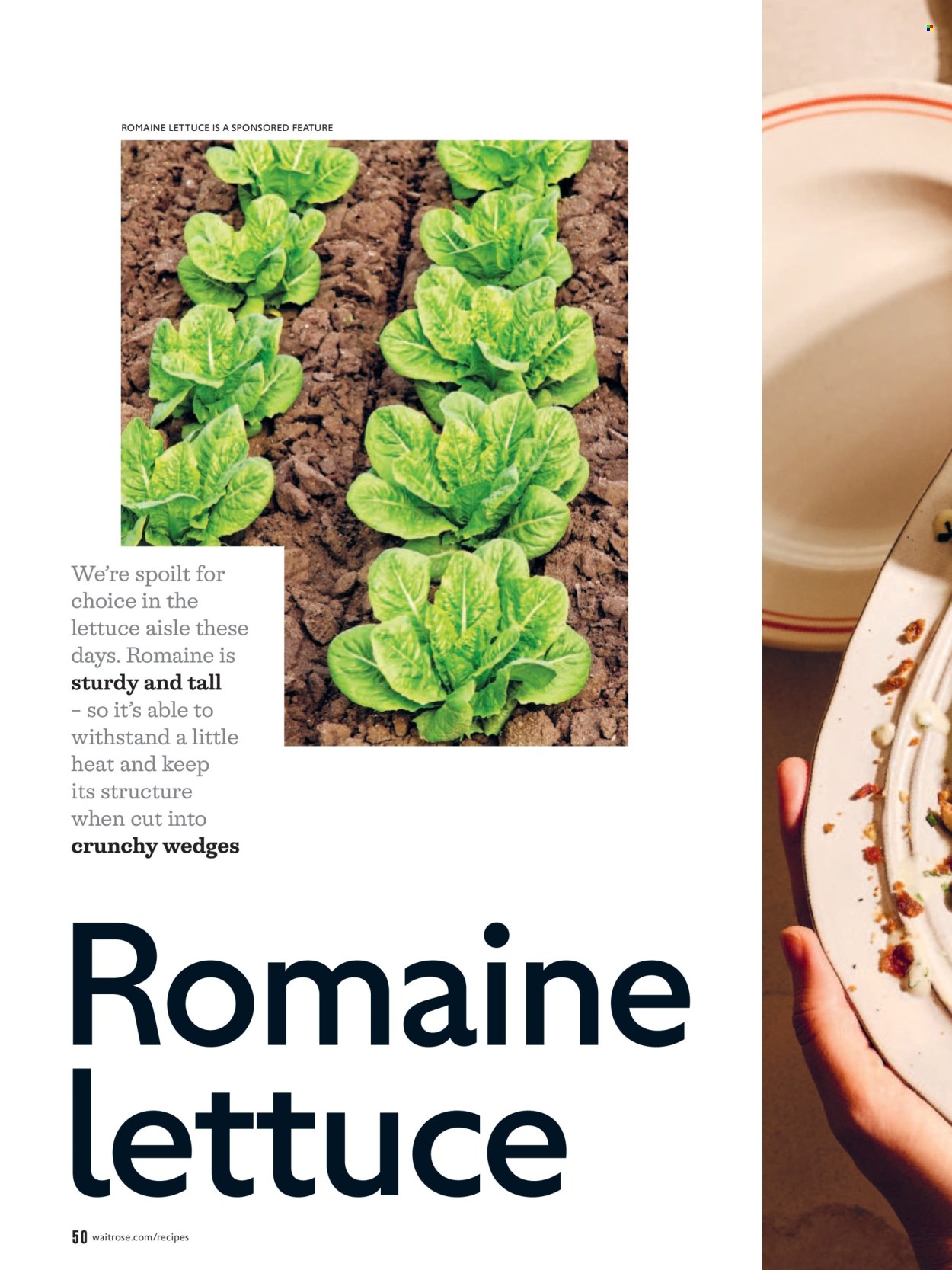 Waitrose offer - 01/07/2026 - 31/08/2026. Page 50
