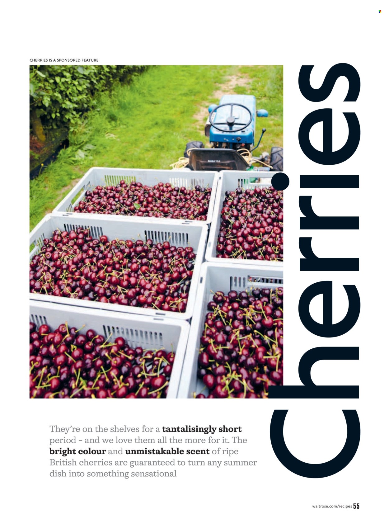 Waitrose offer - 01/07/2026 - 31/08/2026. Page 55