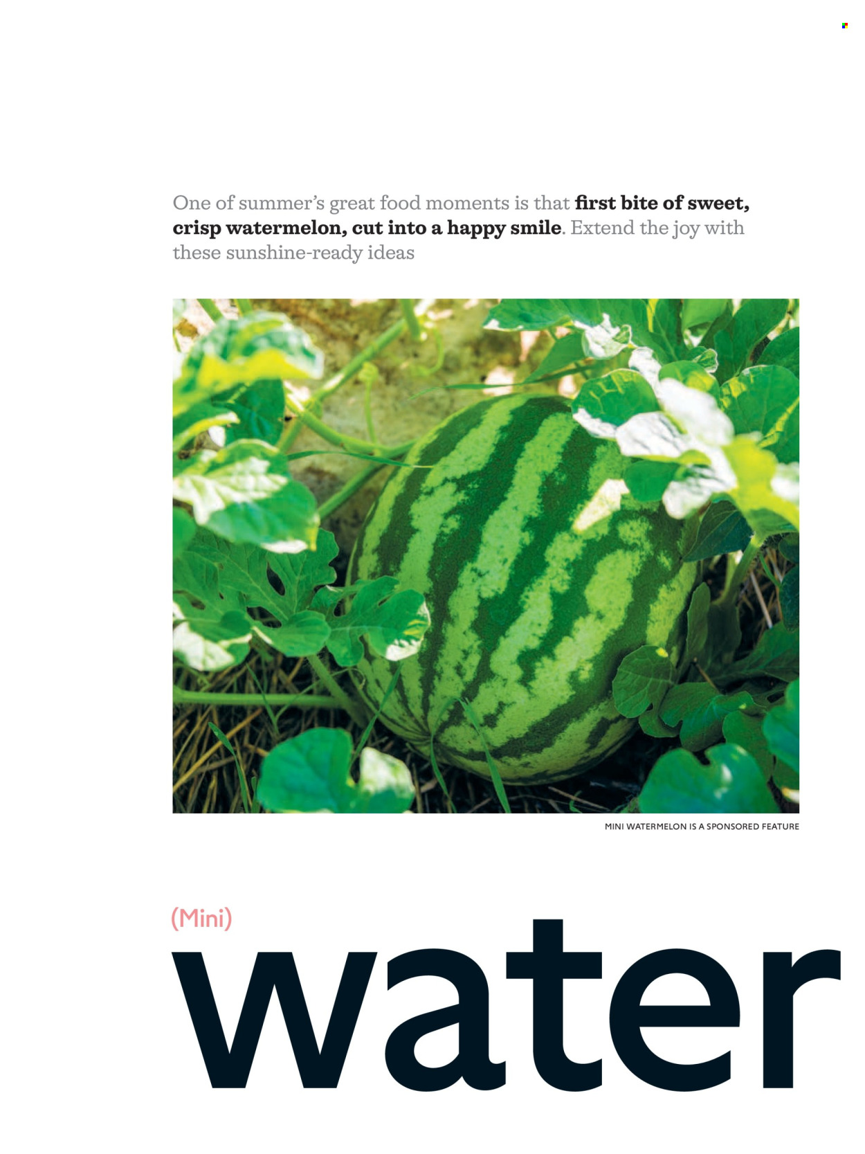 Waitrose offer - 01/07/2026 - 31/08/2026. Page 58