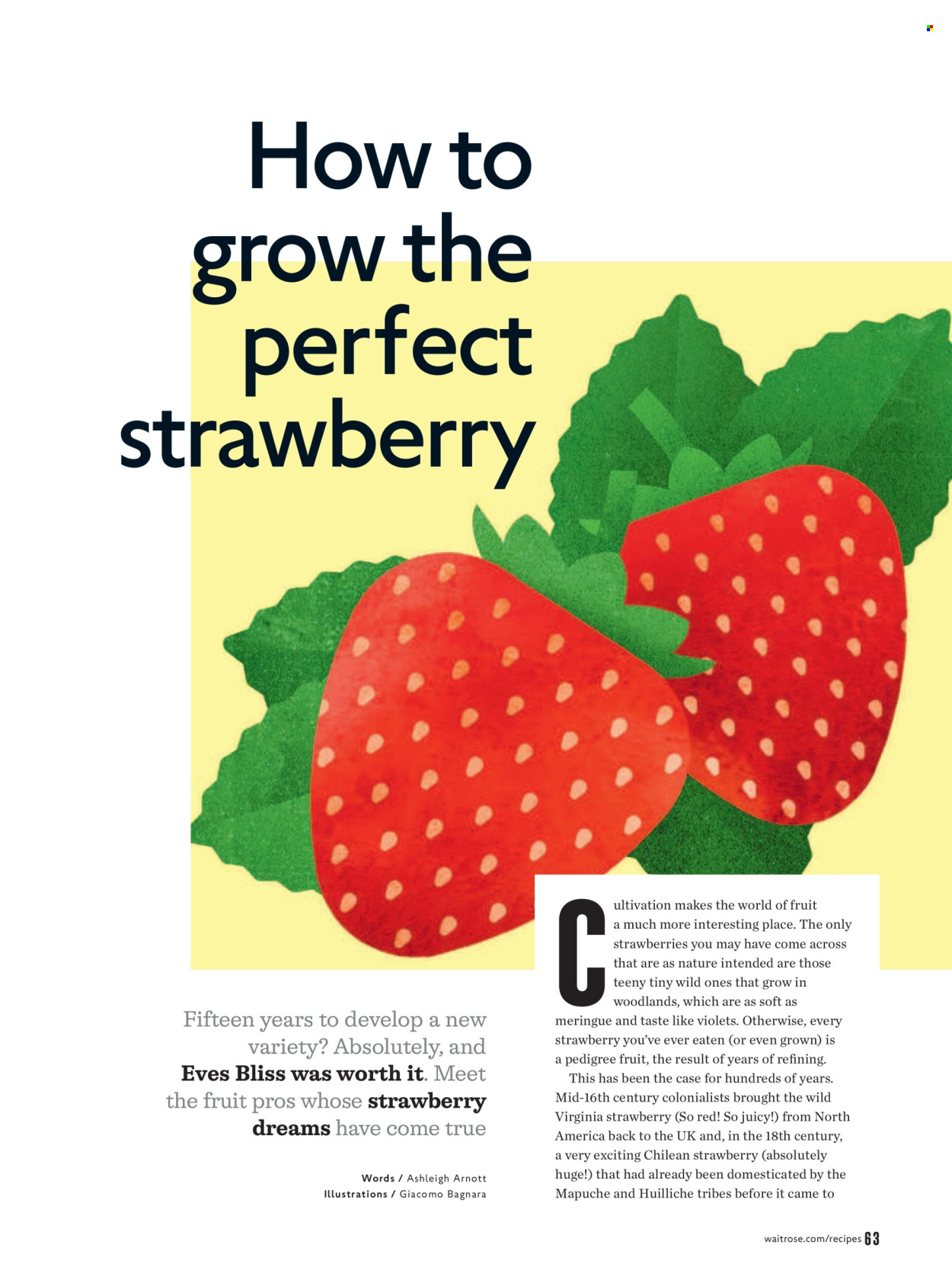 Waitrose offer - 01/07/2026 - 31/08/2026. Page 63