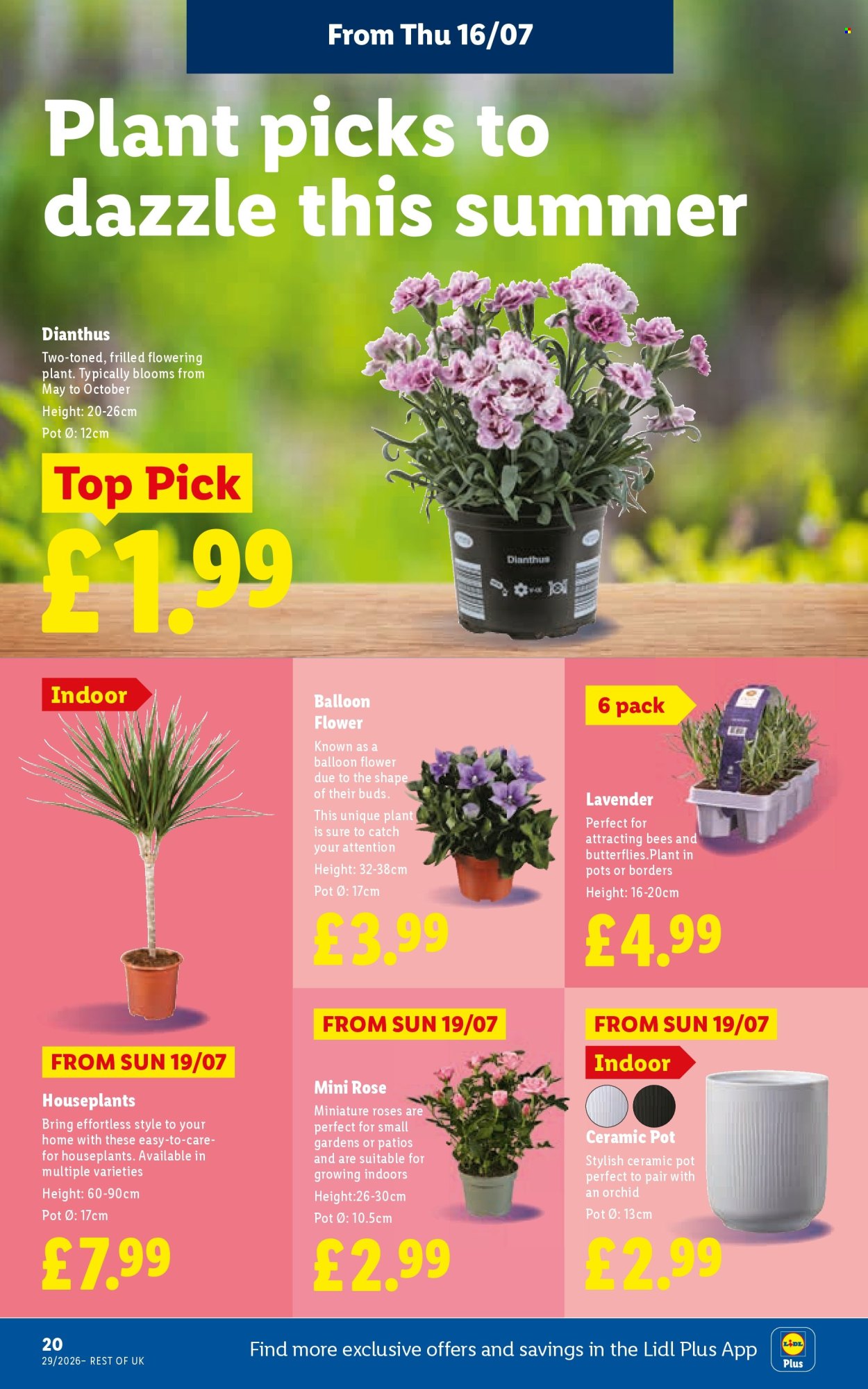 Lidl offer - 16/07/2026 - 22/07/2026. Page 22