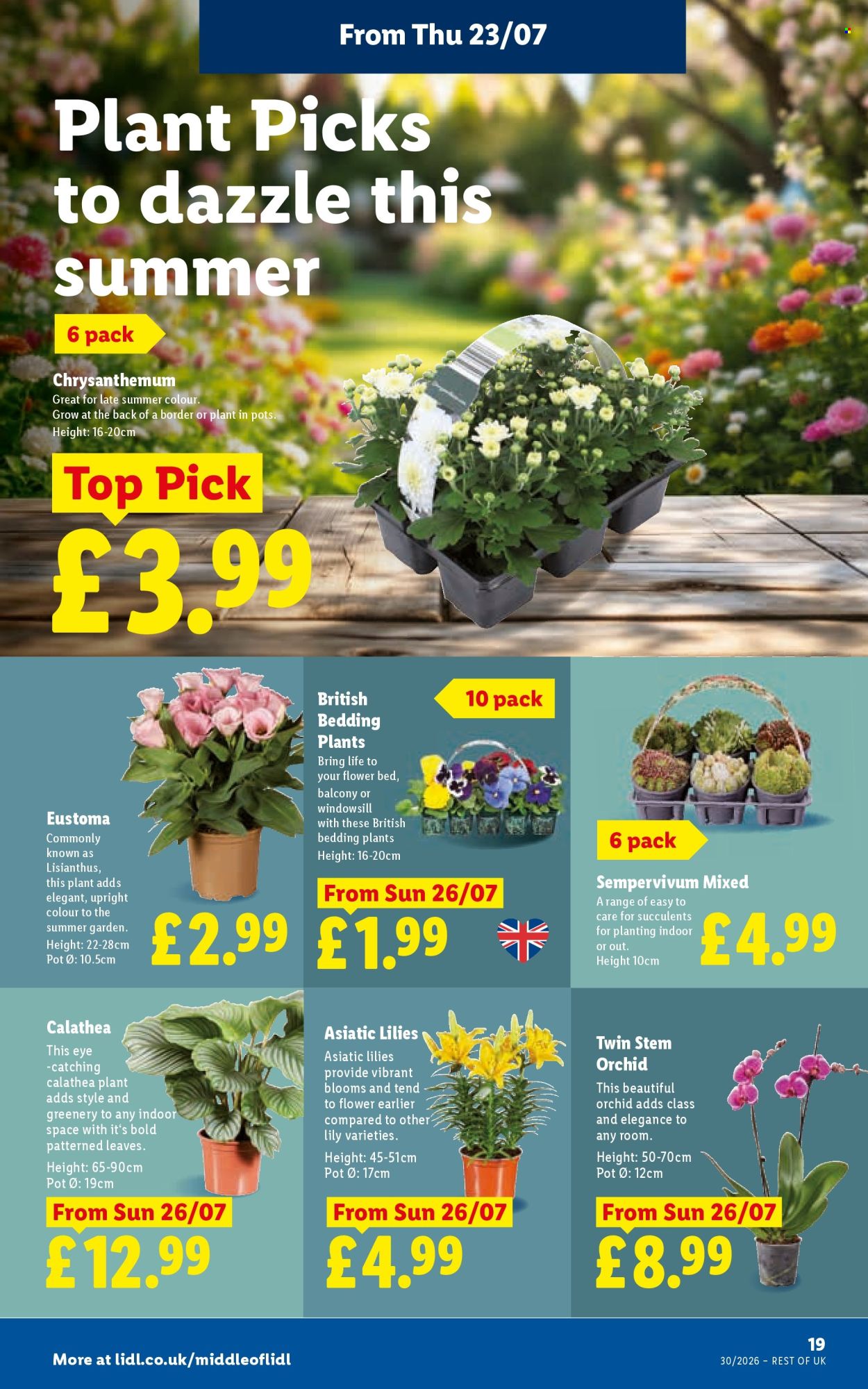 Lidl offer - 23/07/2026 - 29/07/2026. Page 21