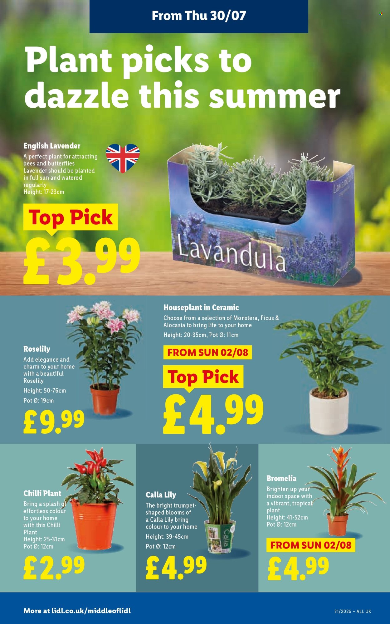 Lidl offer - 30/07/2026 - 05/08/2026. Page 26