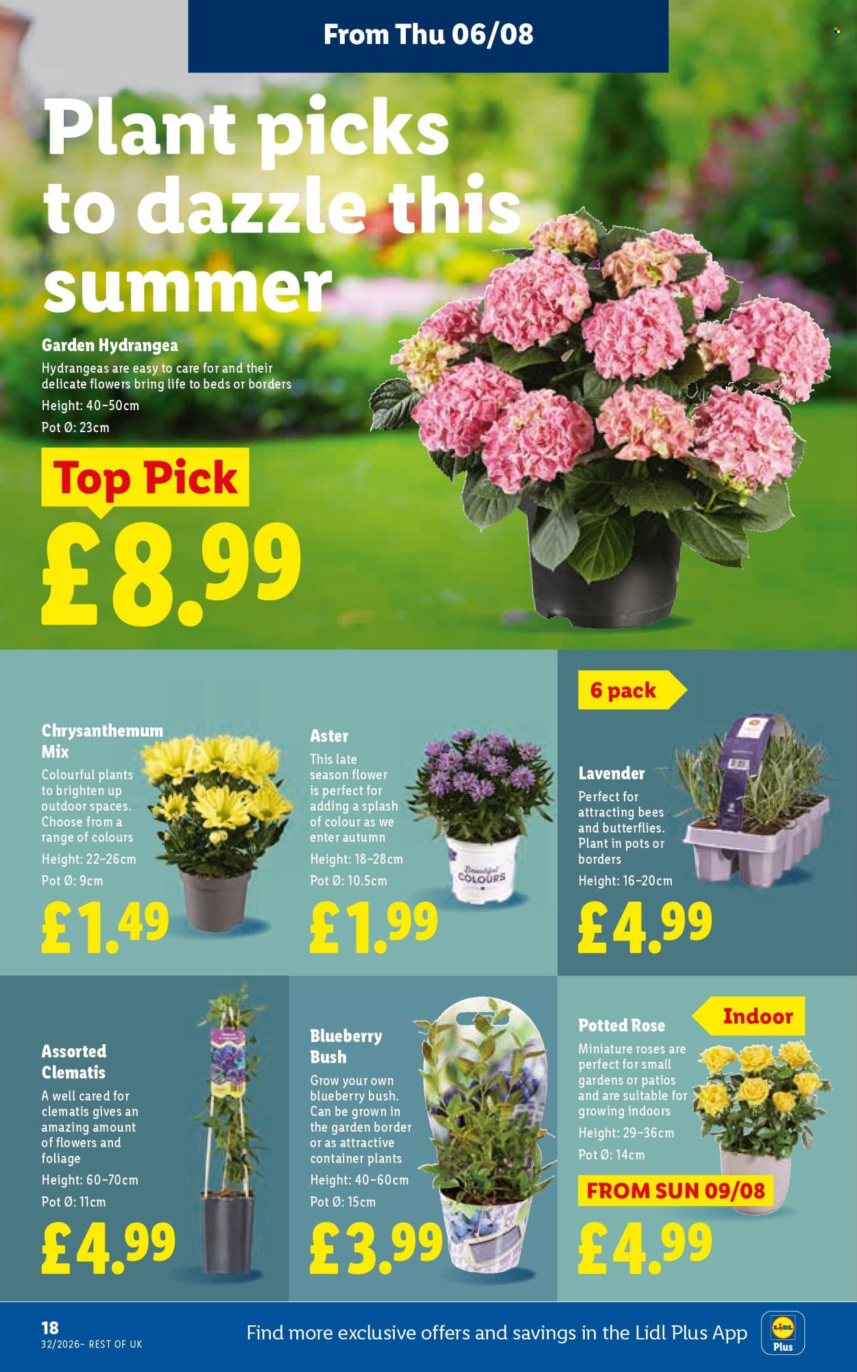 Lidl offer - 06/08/2026 - 12/08/2026. Page 22