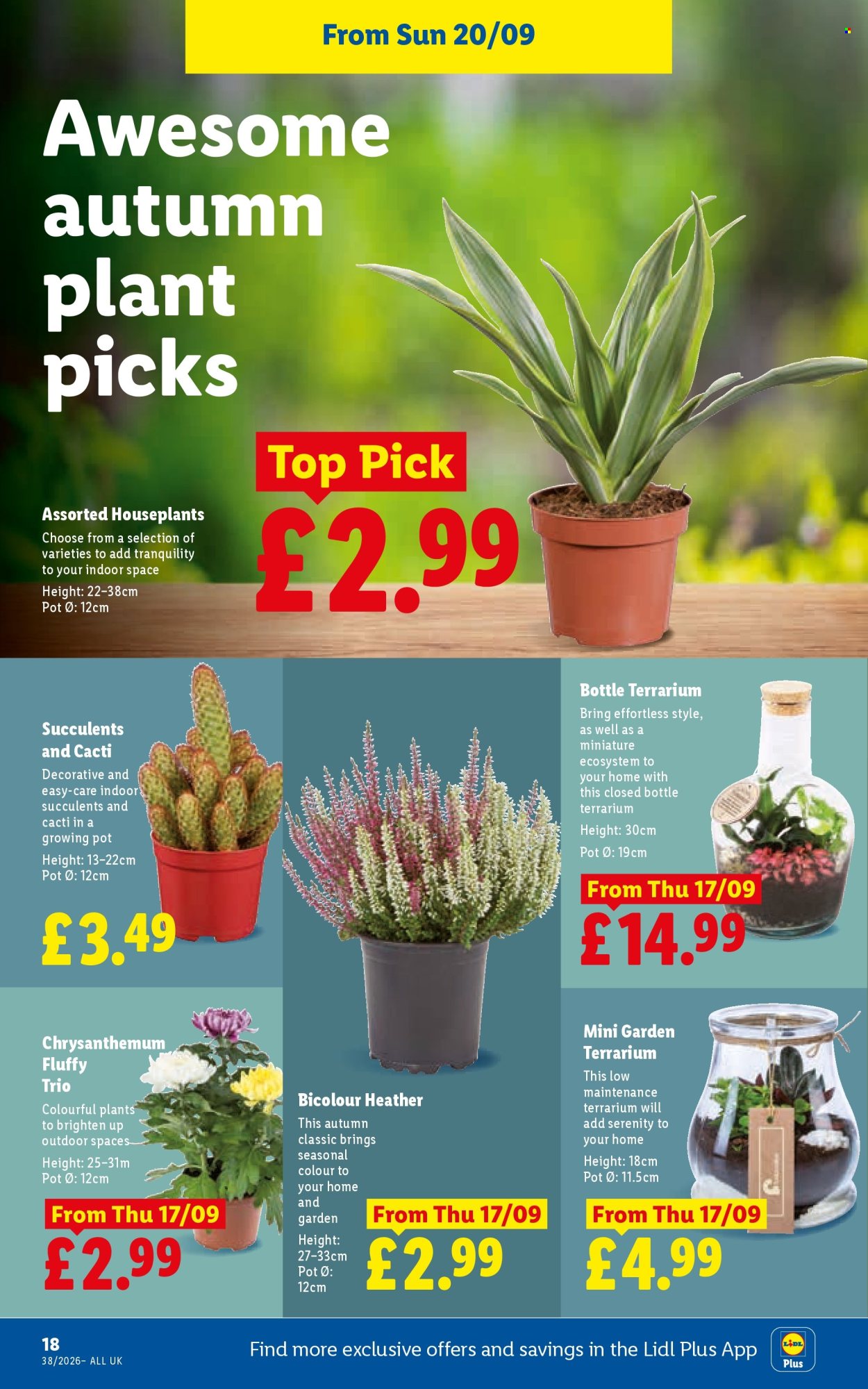 Lidl offer - 17/09/2026 - 23/09/2026. Page 20