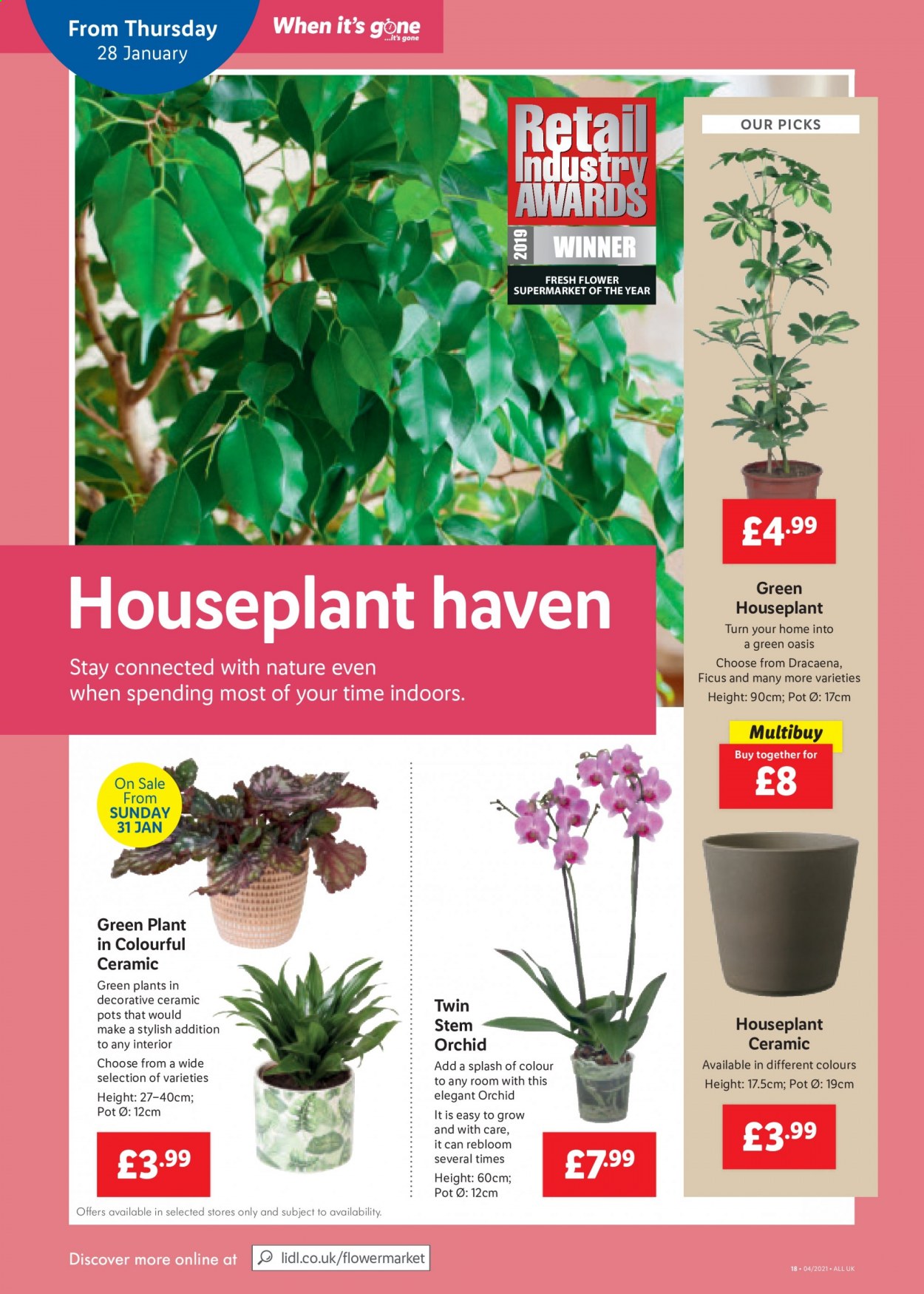 Lidl offer - 28/01/2021 - 03/02/2021. Page 18
