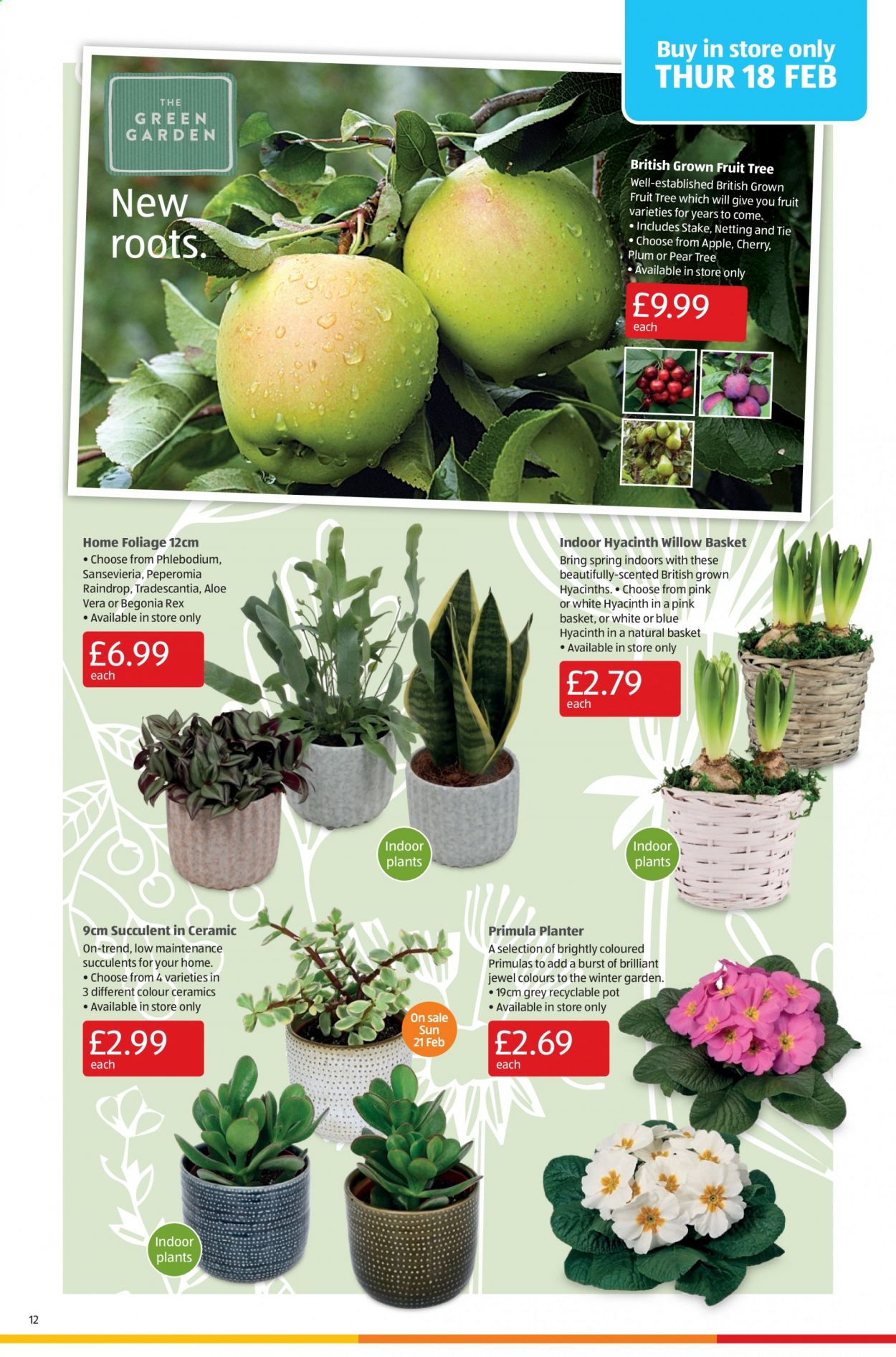 Aldi offer - 14/02/2021 - 21/02/2021. Page 12